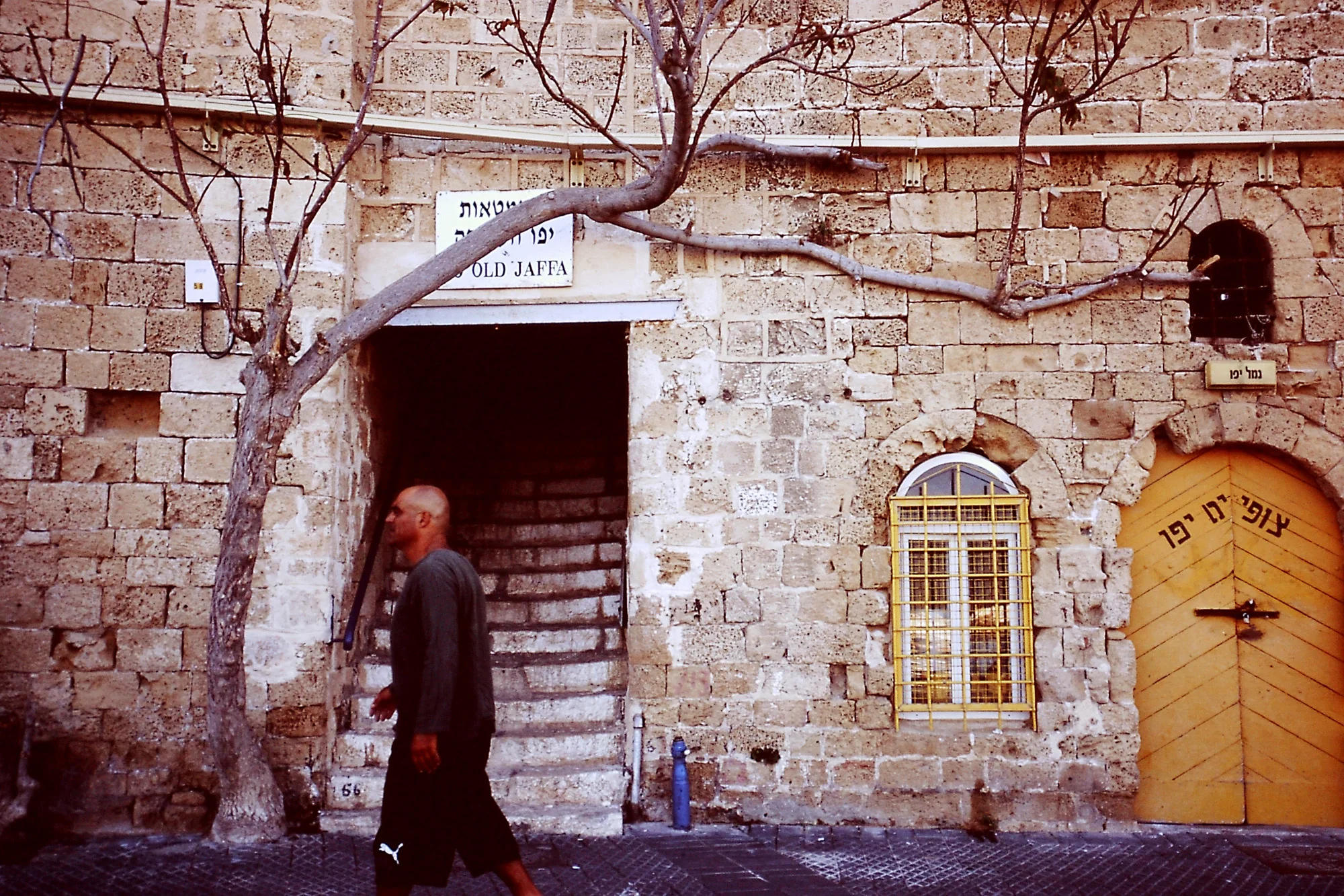PICT0140b.jpg