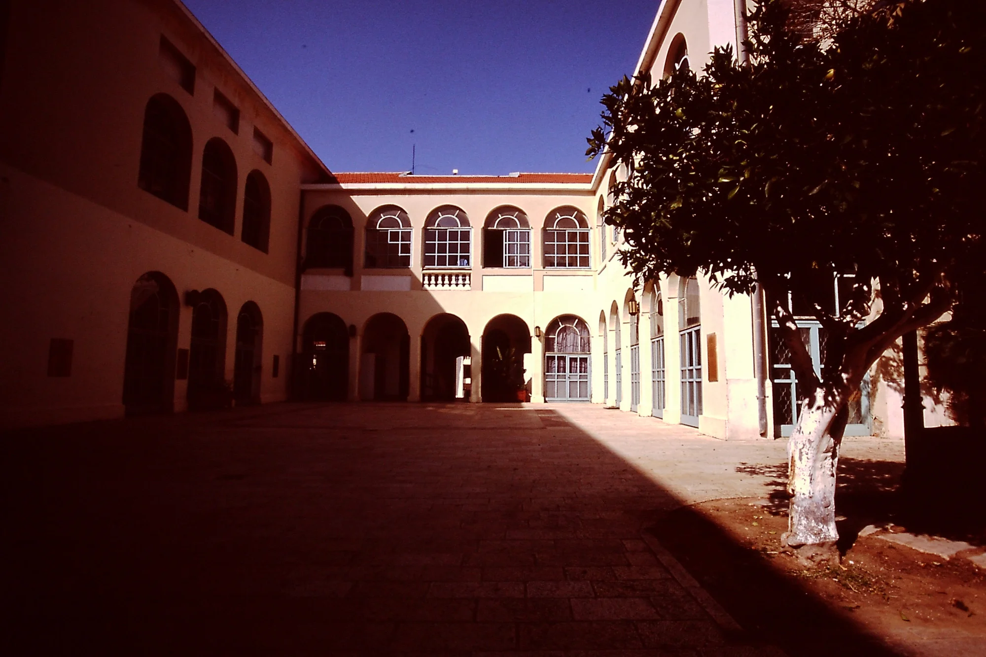 PICT0149b.jpg
