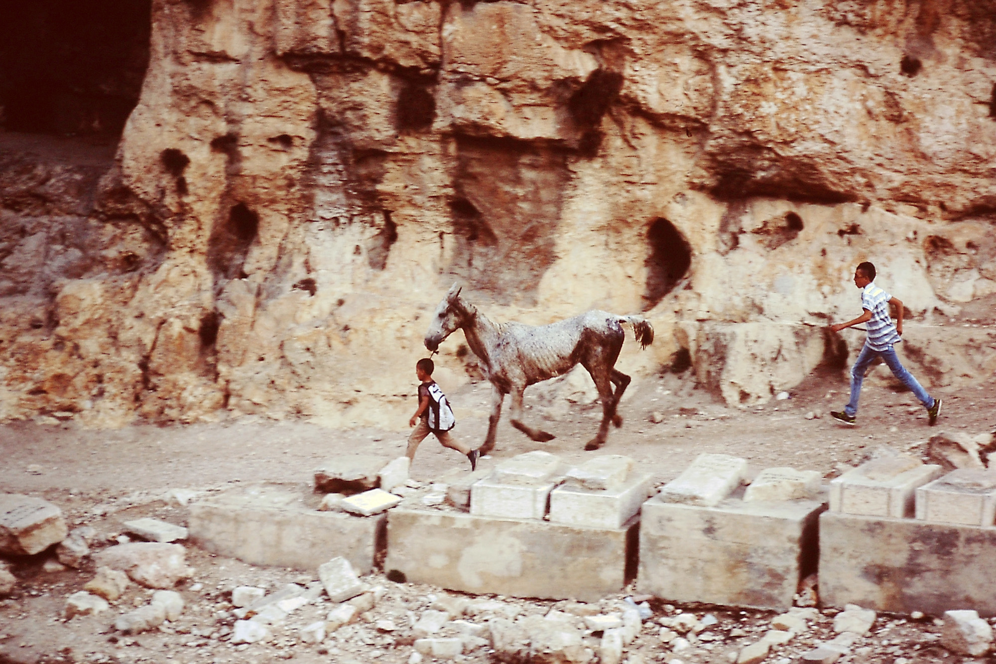 PICT0194b.jpg