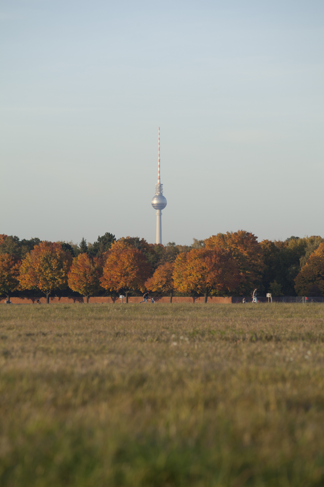 IMG_3135_1.jpg