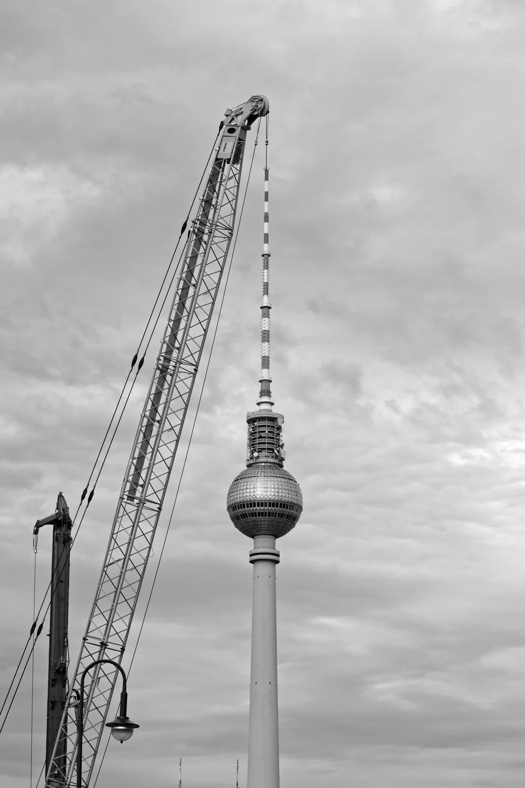 IMG_8236_ps_1.jpg