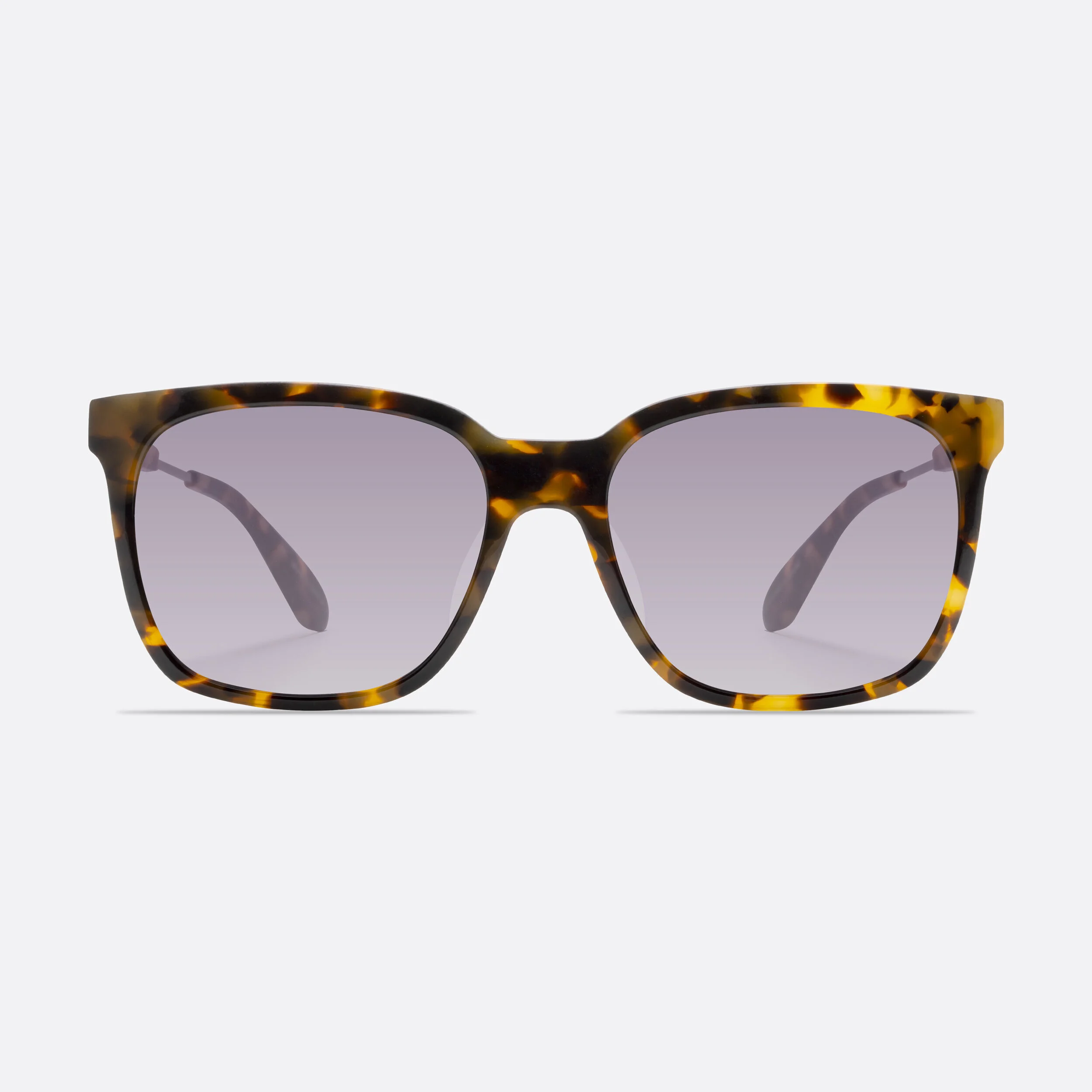 SHADES11.jpg