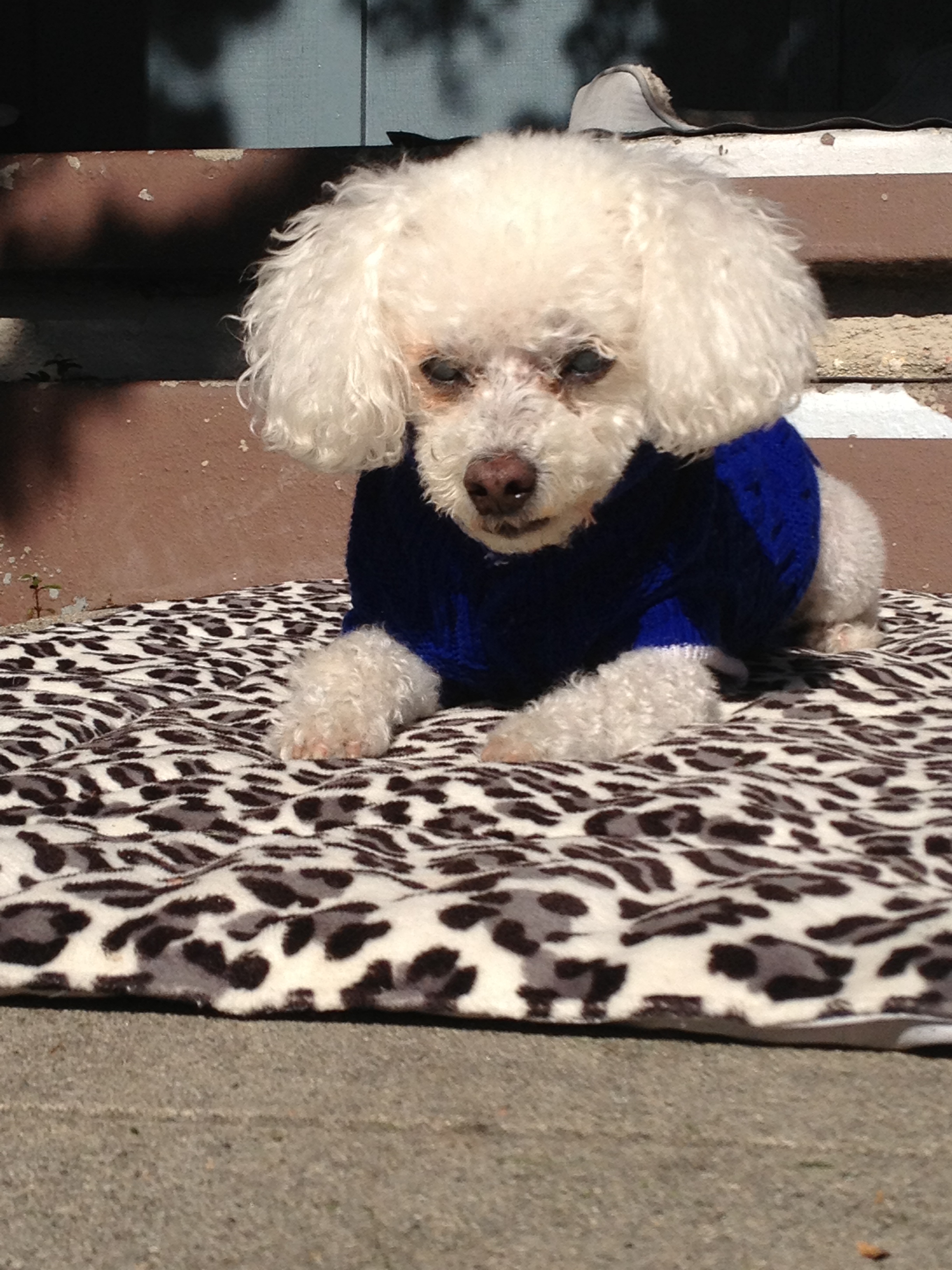 The Wisdom of Impulse