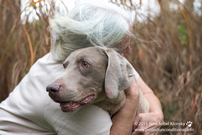 BUSTER & GWYN: Elgin, IL