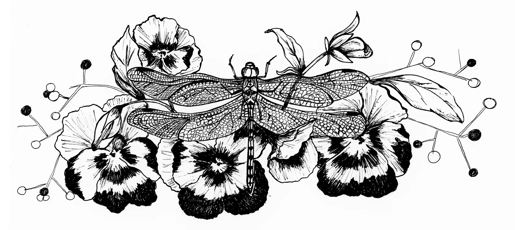 Violeta.jpg