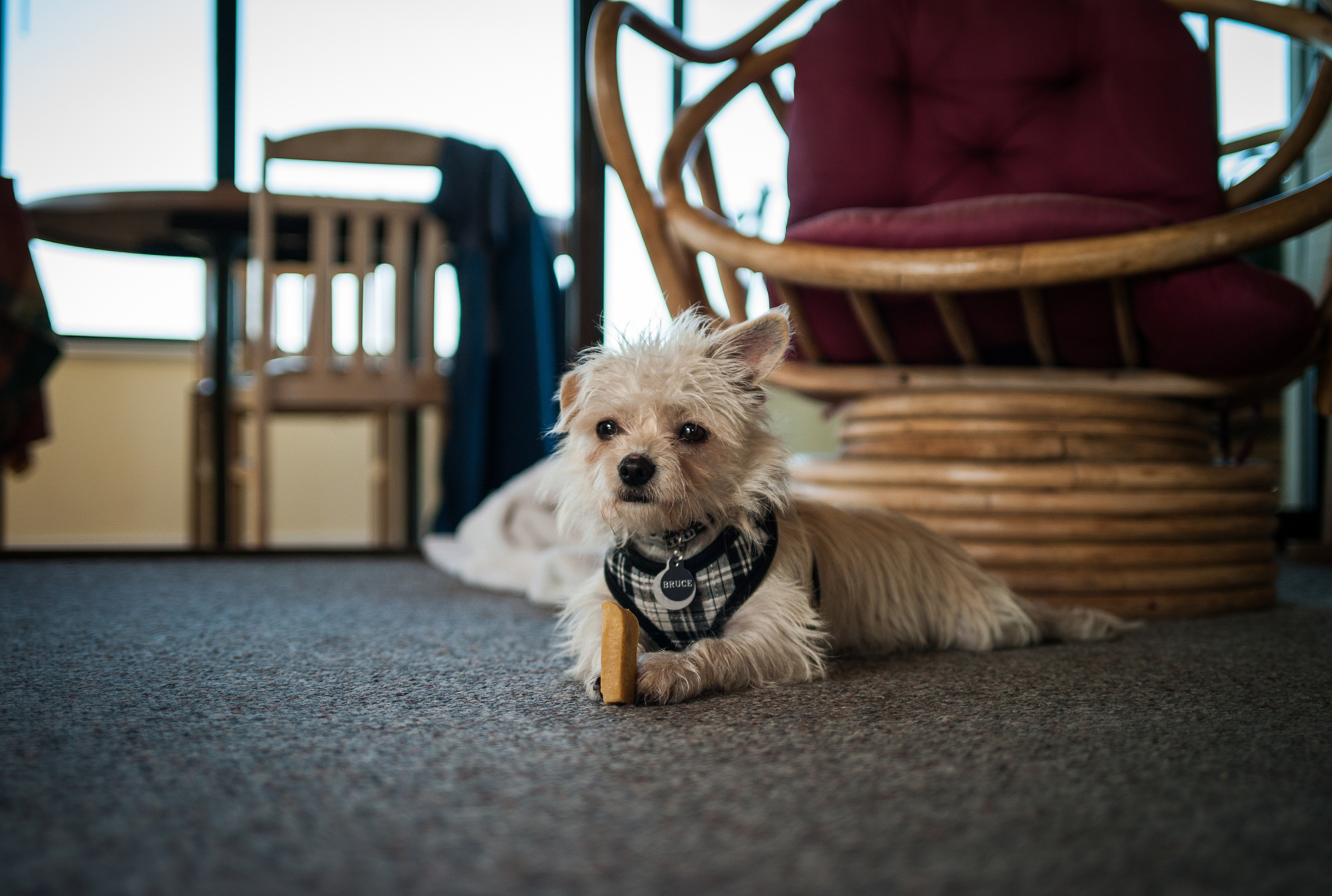 Leica M8.2 | Zeiss 35mm f2 | ISO 160