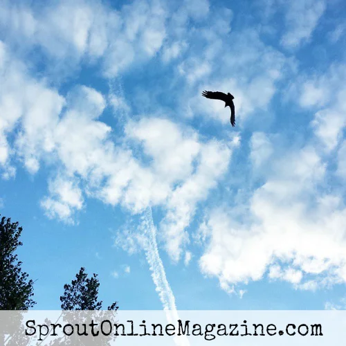 you are free: a blessing