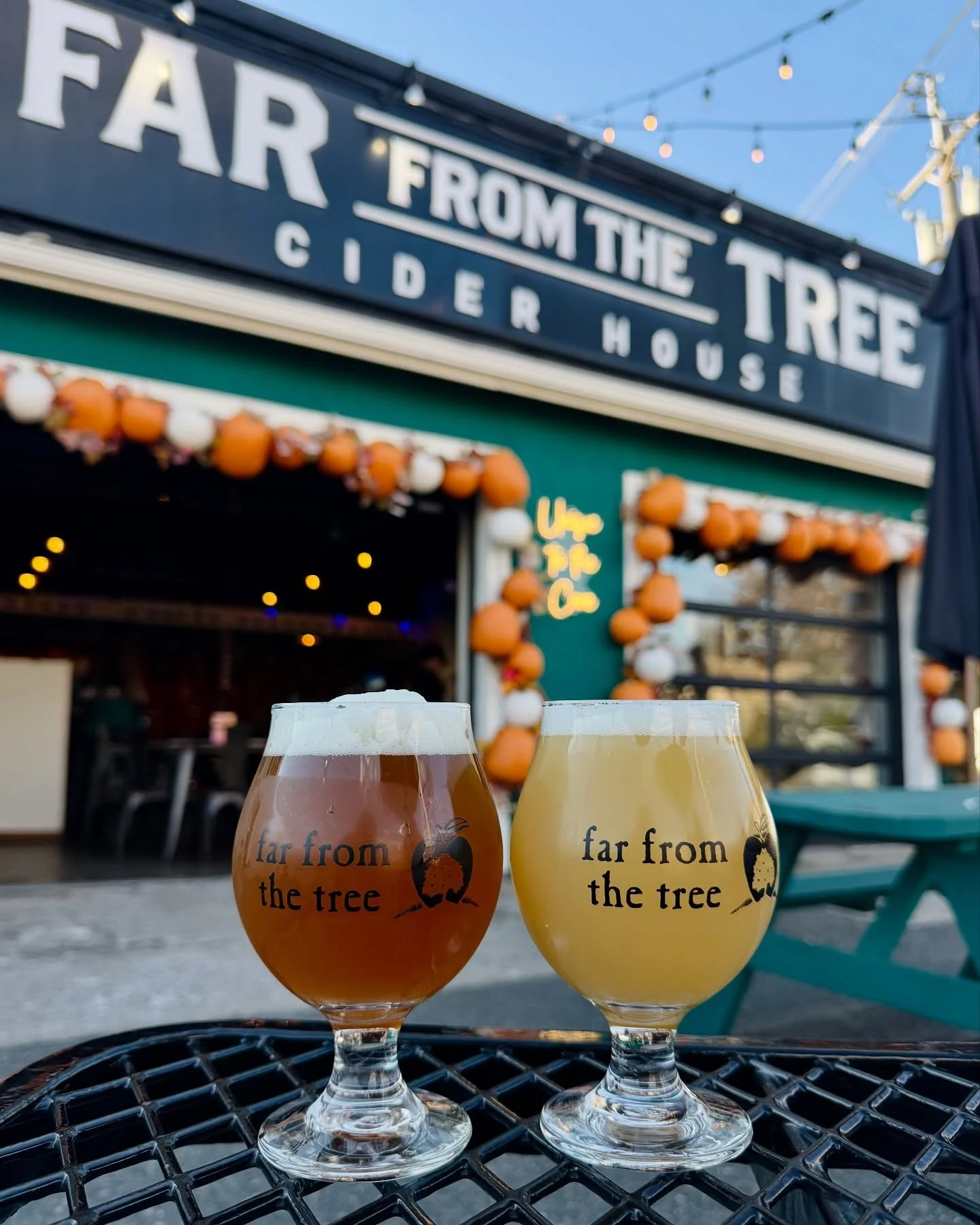 Far From the Tree has partnered with Wandering Soul Beer Co. and now has two beers on draft in the taproom! 🍻

PALE MOON RISING
New England India Pale Ale - ABV 4.9%

WICKED WITCH OF THE WEST
West Coast Style Pale Ale with Mosaic Hops - ABV 5.8%