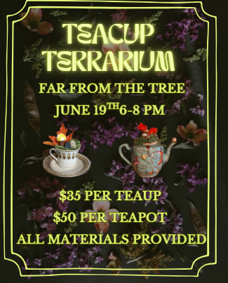 Sasscraft Society: Teacup Terrarium Class