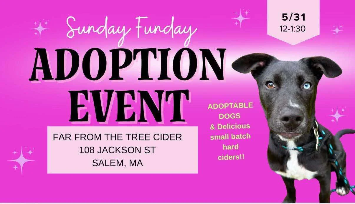 Gals Best Pals Dog Adoption Event