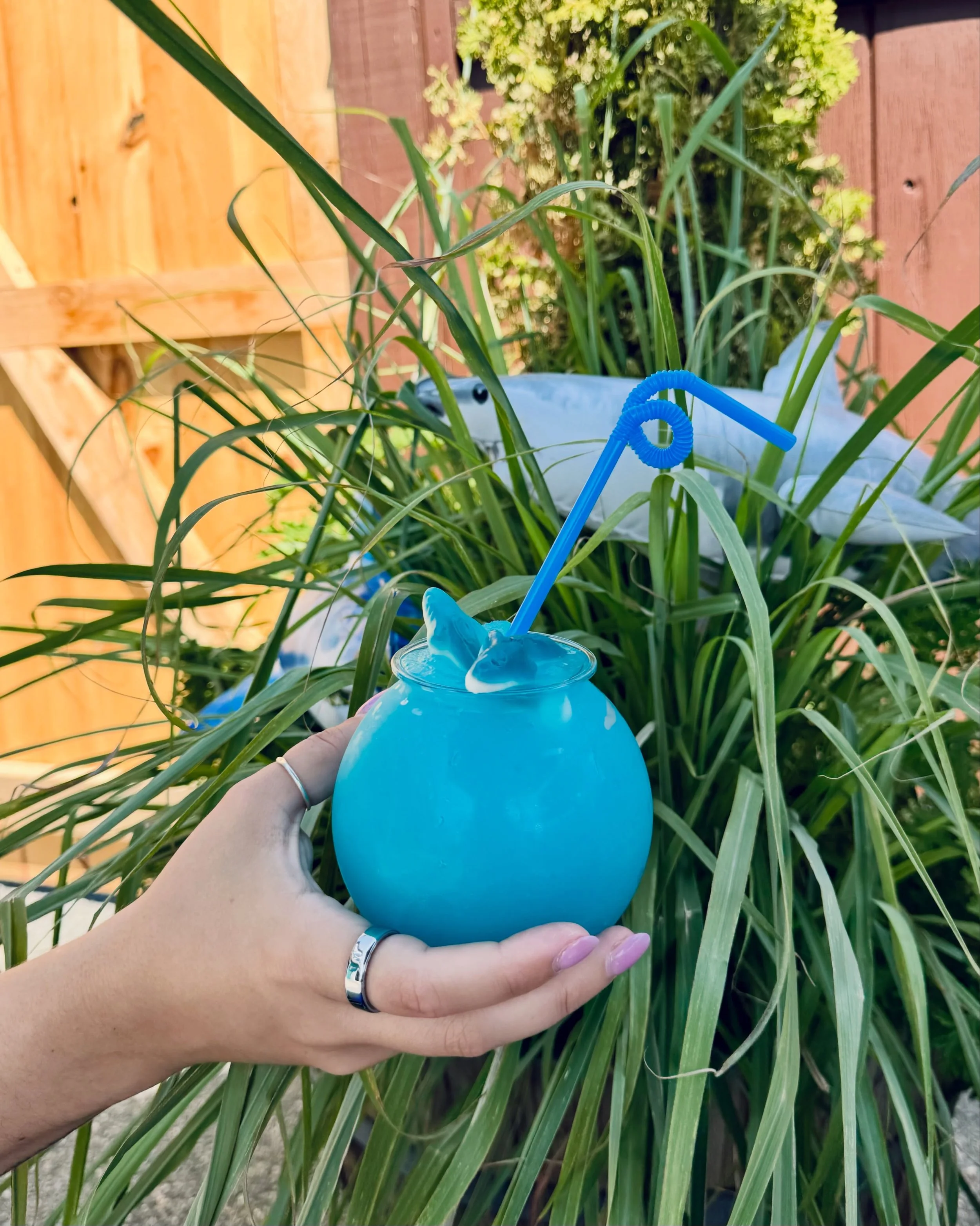 Get your blue raspberry cider slush in a fish bowl today for our SHARK PARTY! (Topped with a shark gummy) 

#salemma #livemusic #hardcider #patioseason #shark
