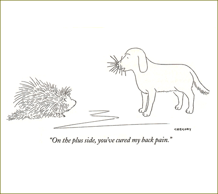 dogneedles.gif
