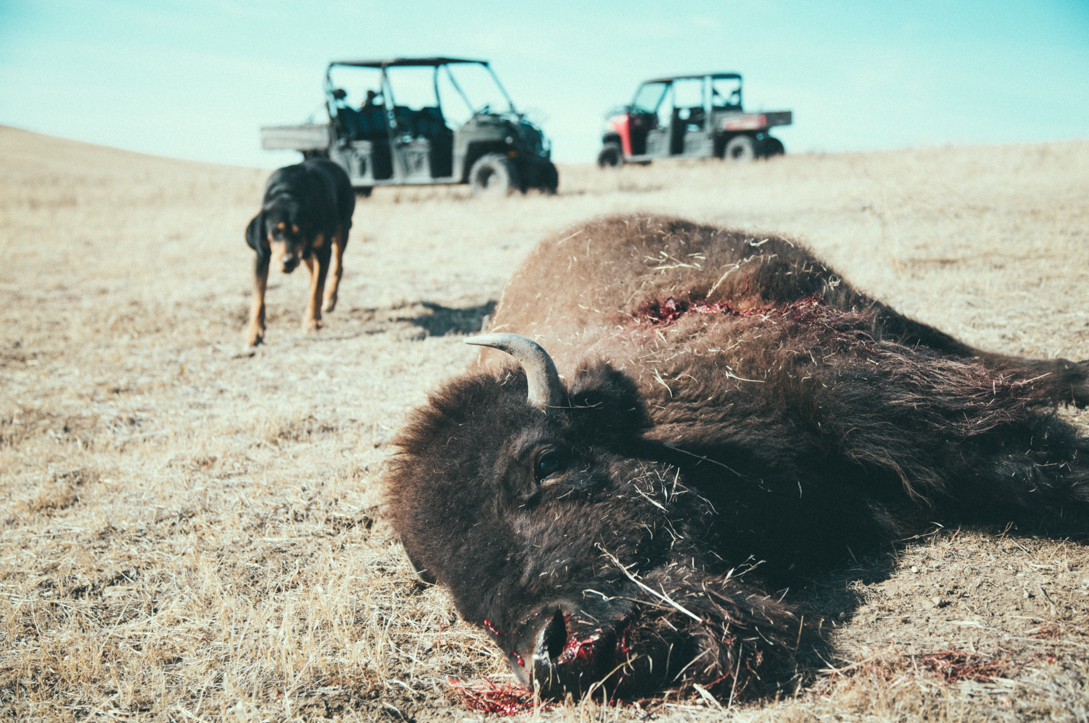 Screen Shot 2014-08-23 at 12.44.27 PM.png