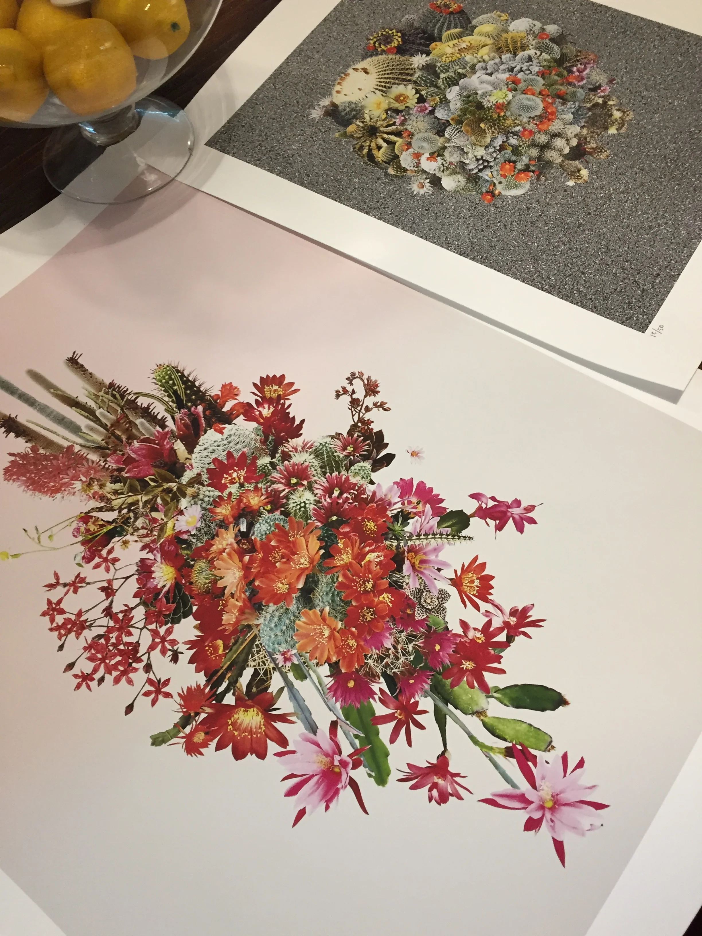 Stephen Eichhorn's Orb III and Eulogy just arrived last week from Zioxla . Can't wait to get these framed and up in my house!