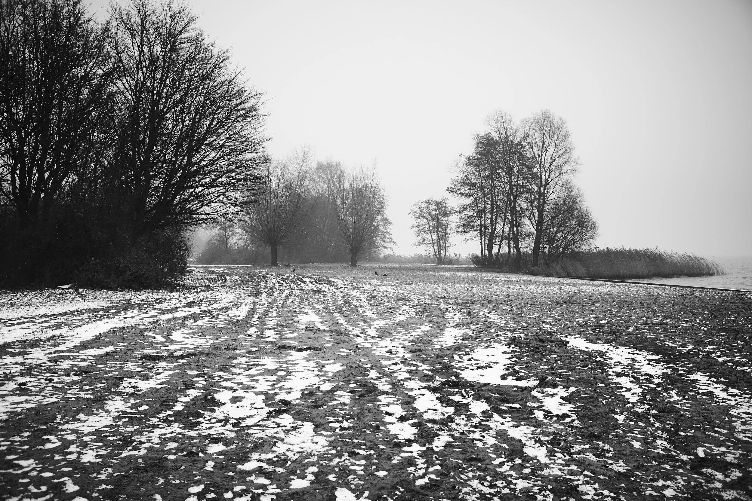 YvdM-2009-0303.jpg