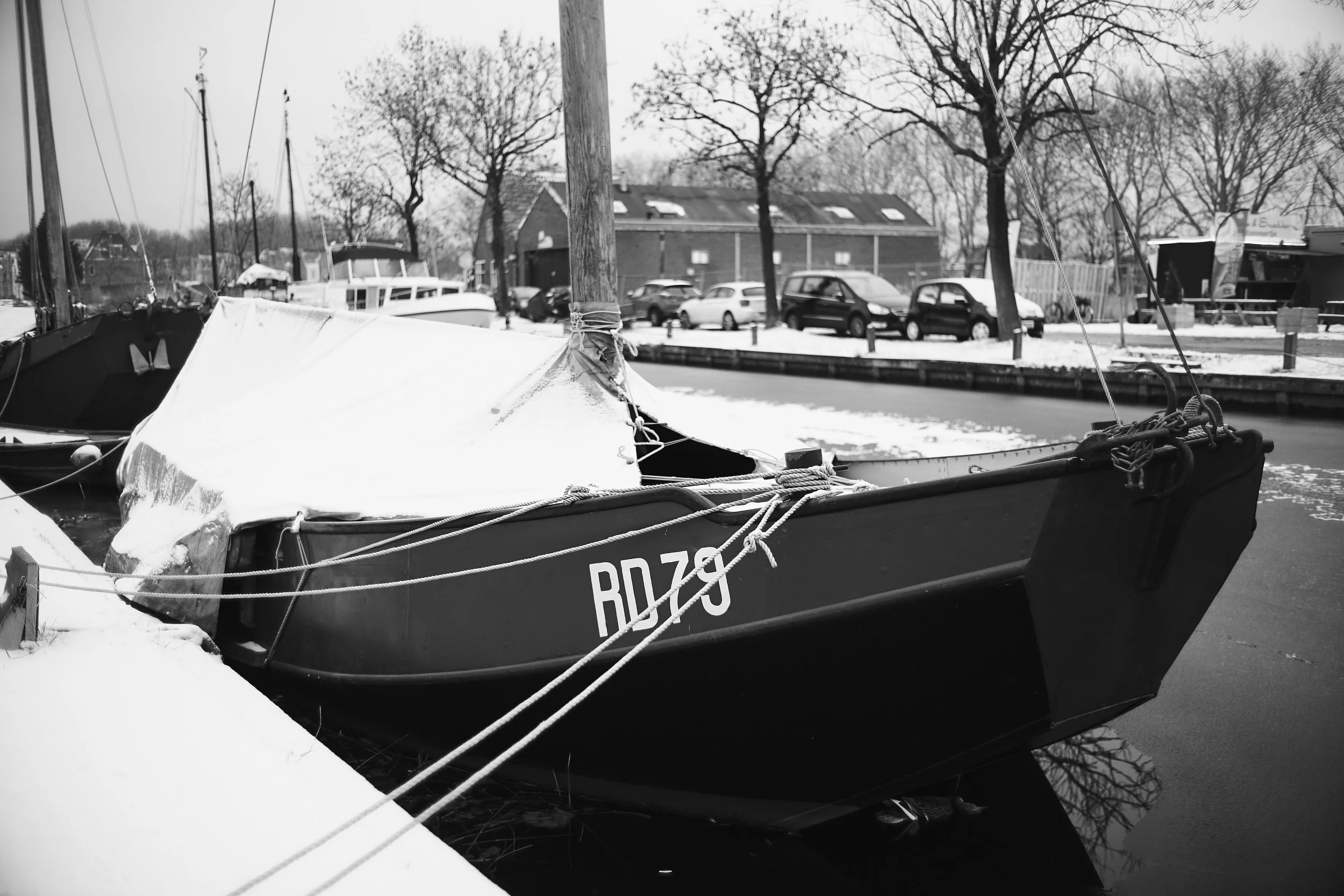 YvdM-2013-0493.jpg