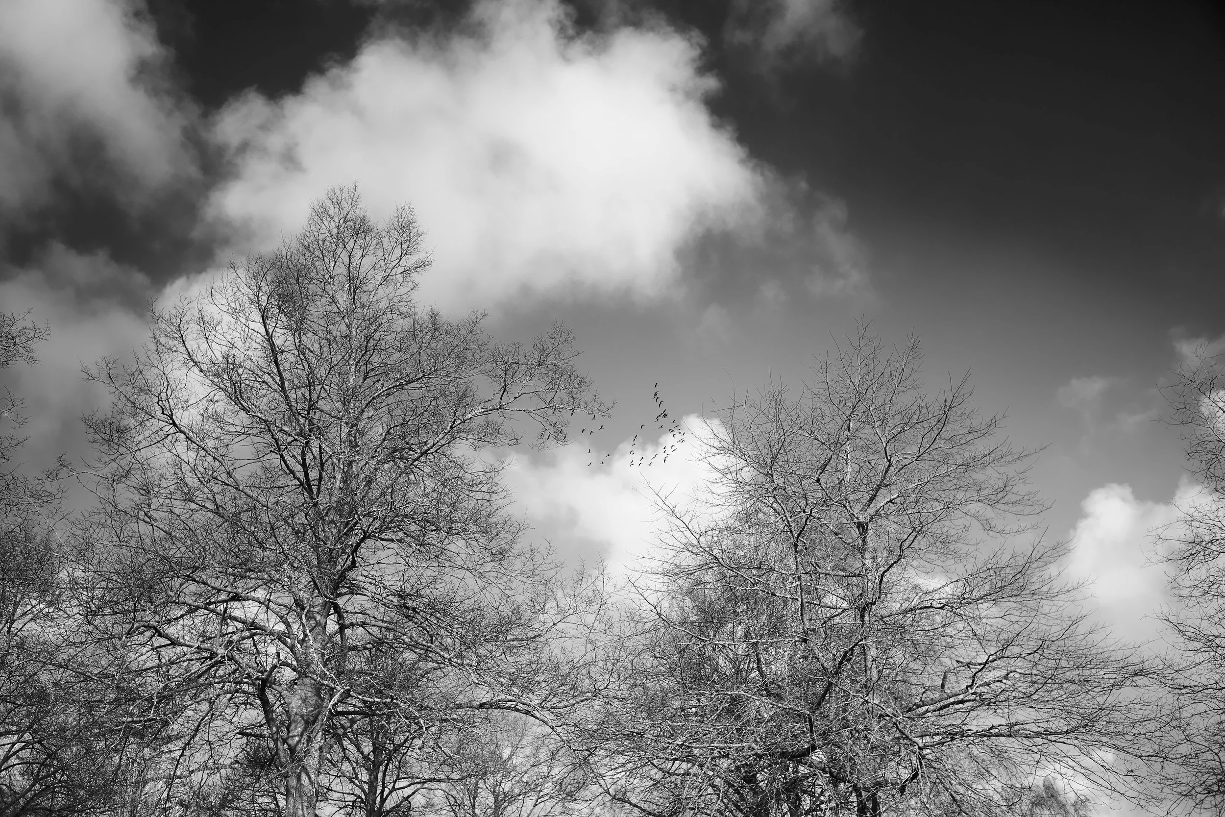 YvdM-2014-0210.jpg