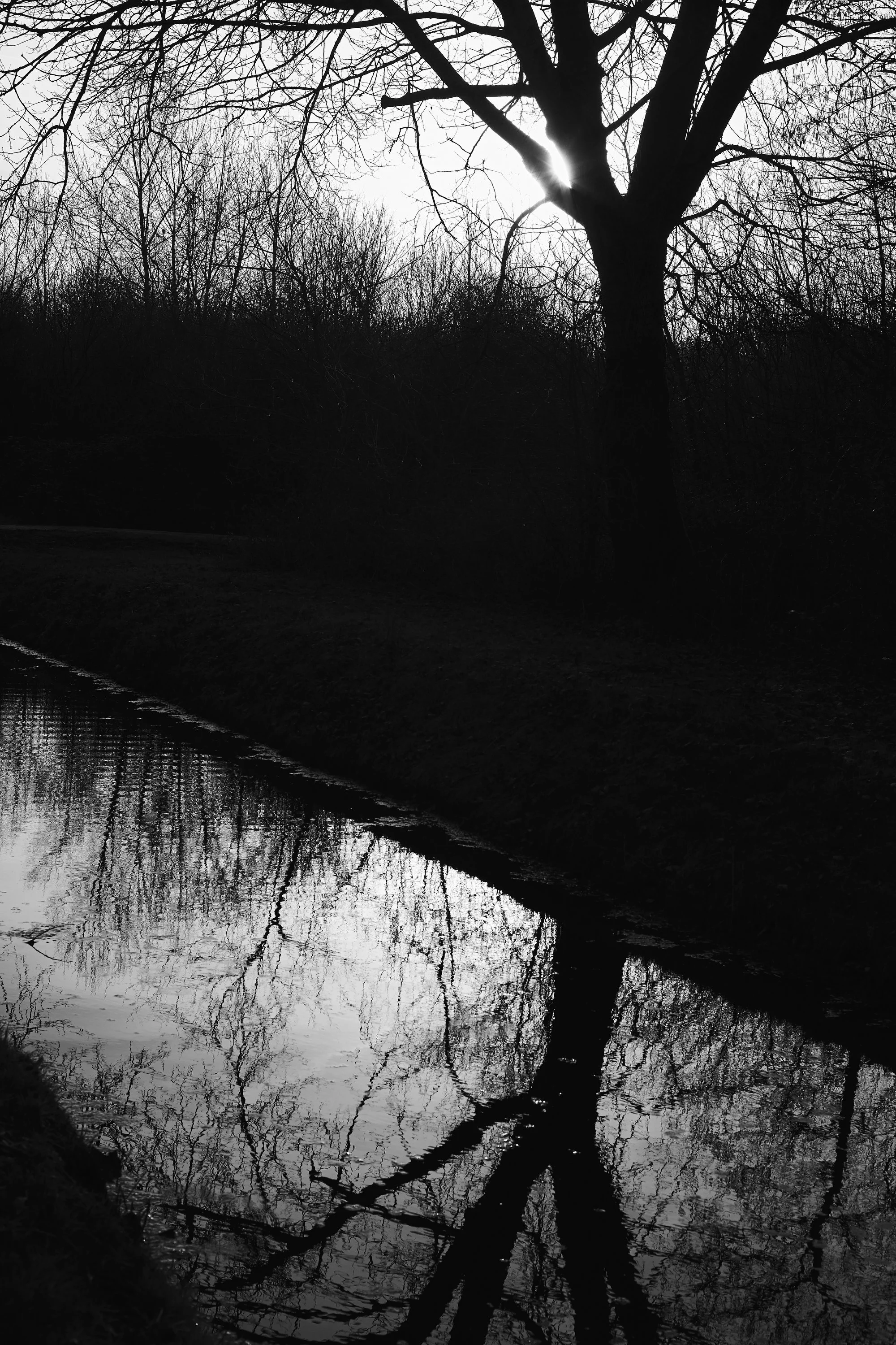 YvdM-2014-0298.jpg