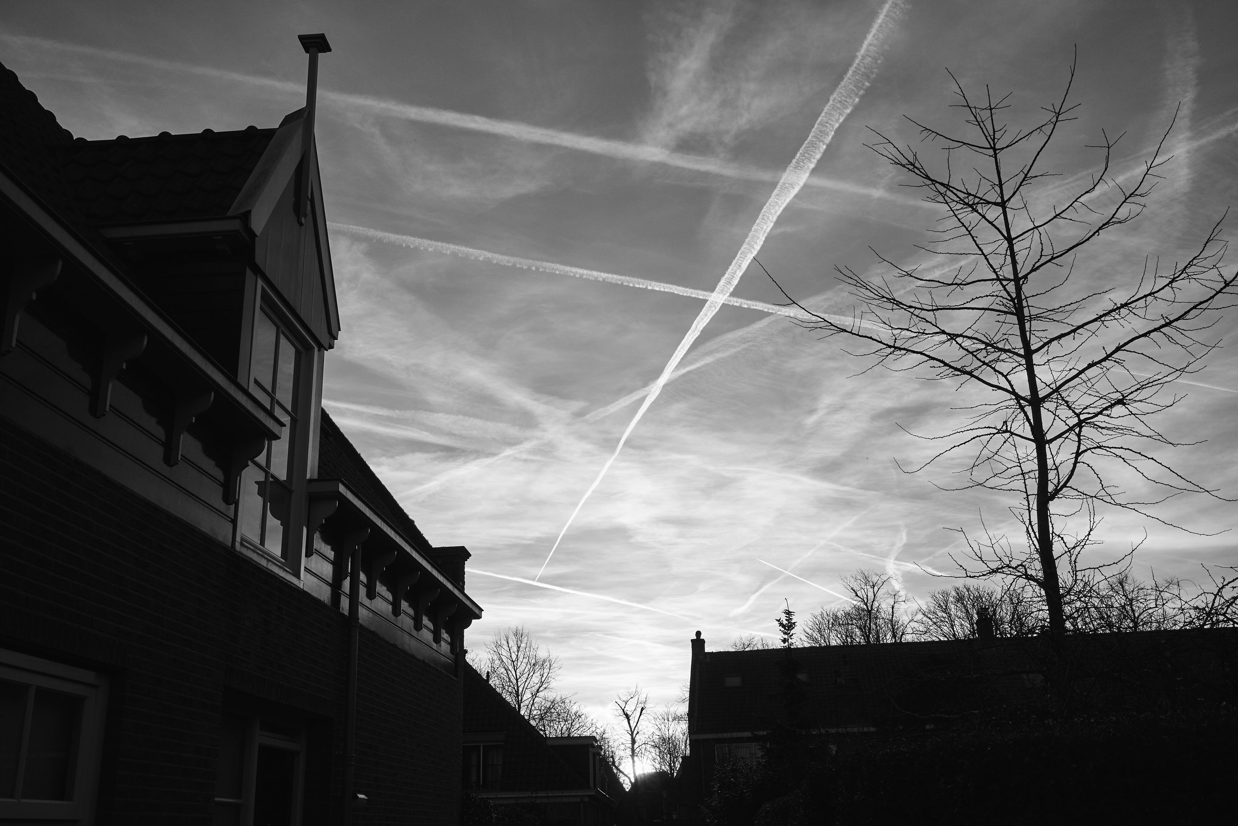 YvdM-2014-0306.jpg