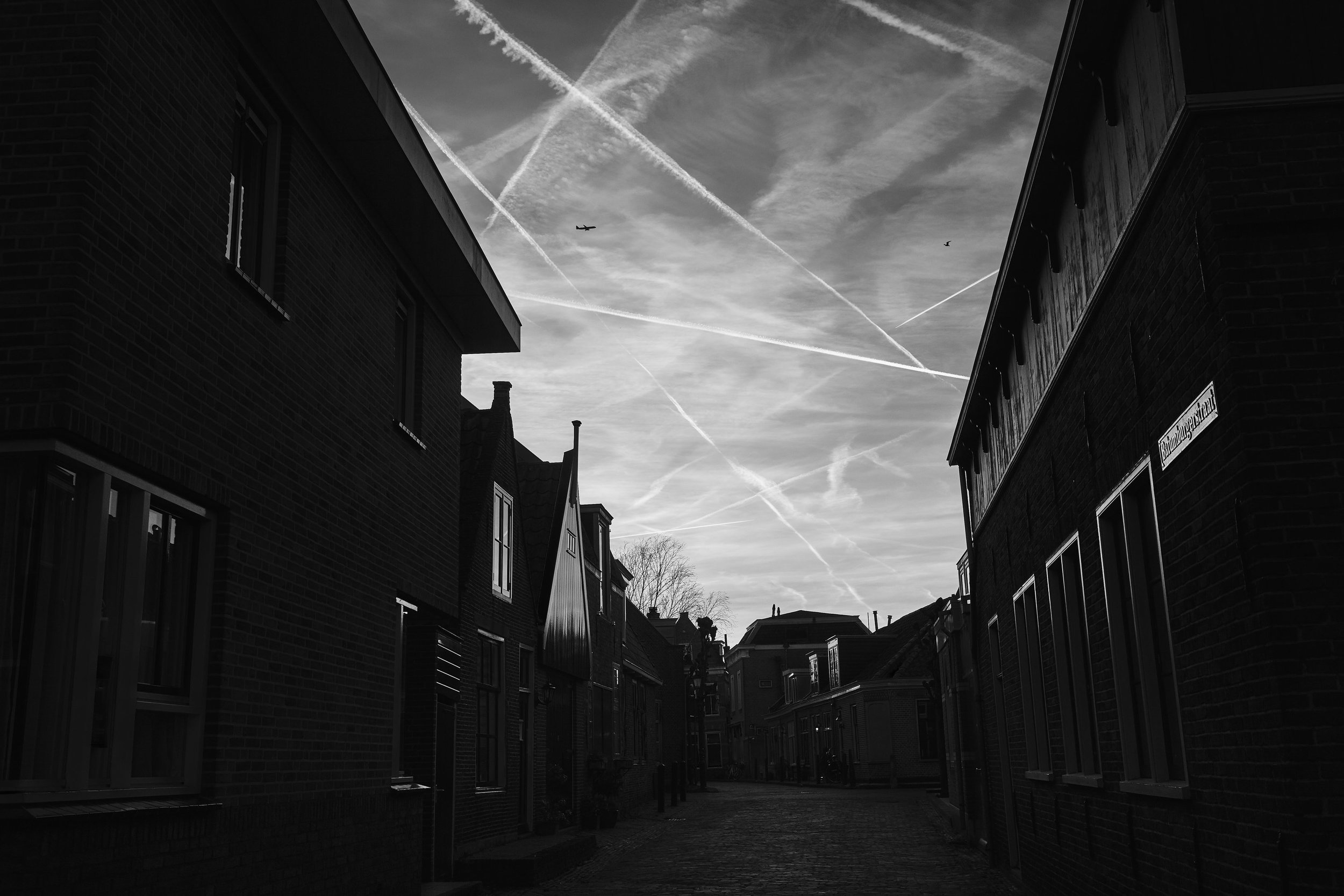 YvdM-2014-0312.jpg