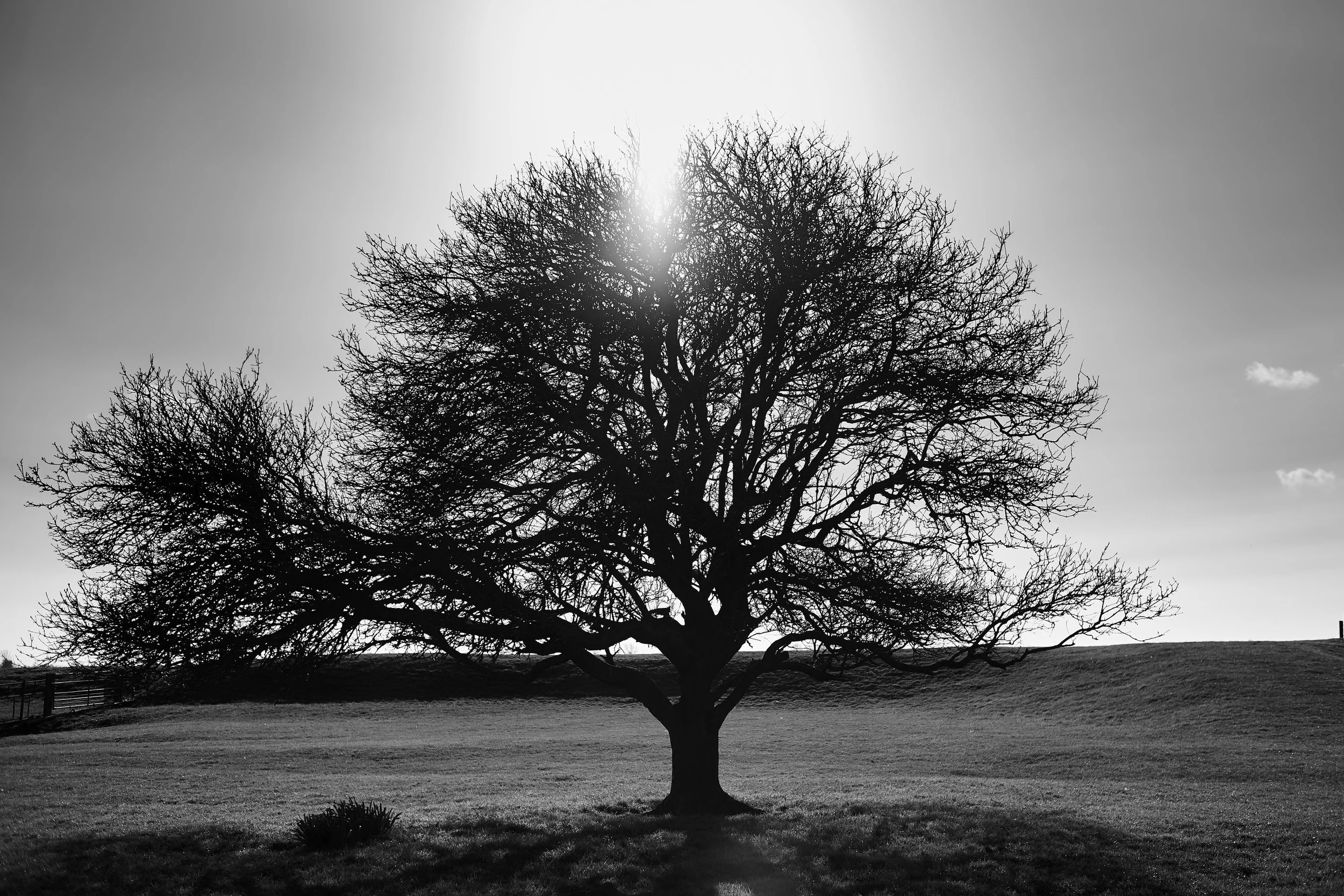 YvdM-2015-0886.jpg