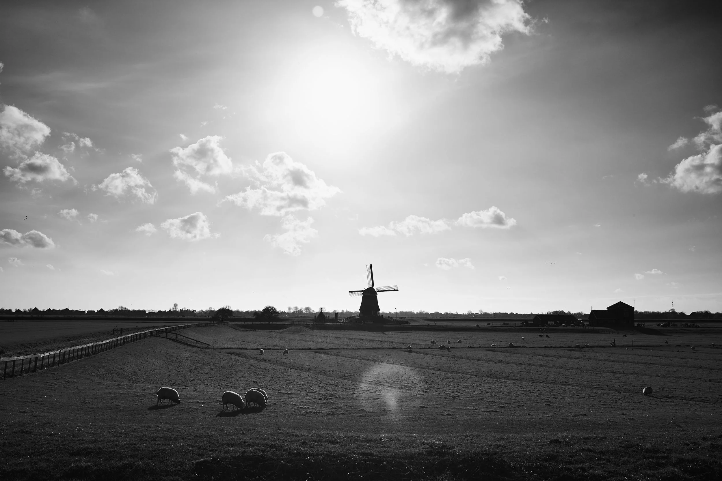 YvdM-2015-0909.jpg