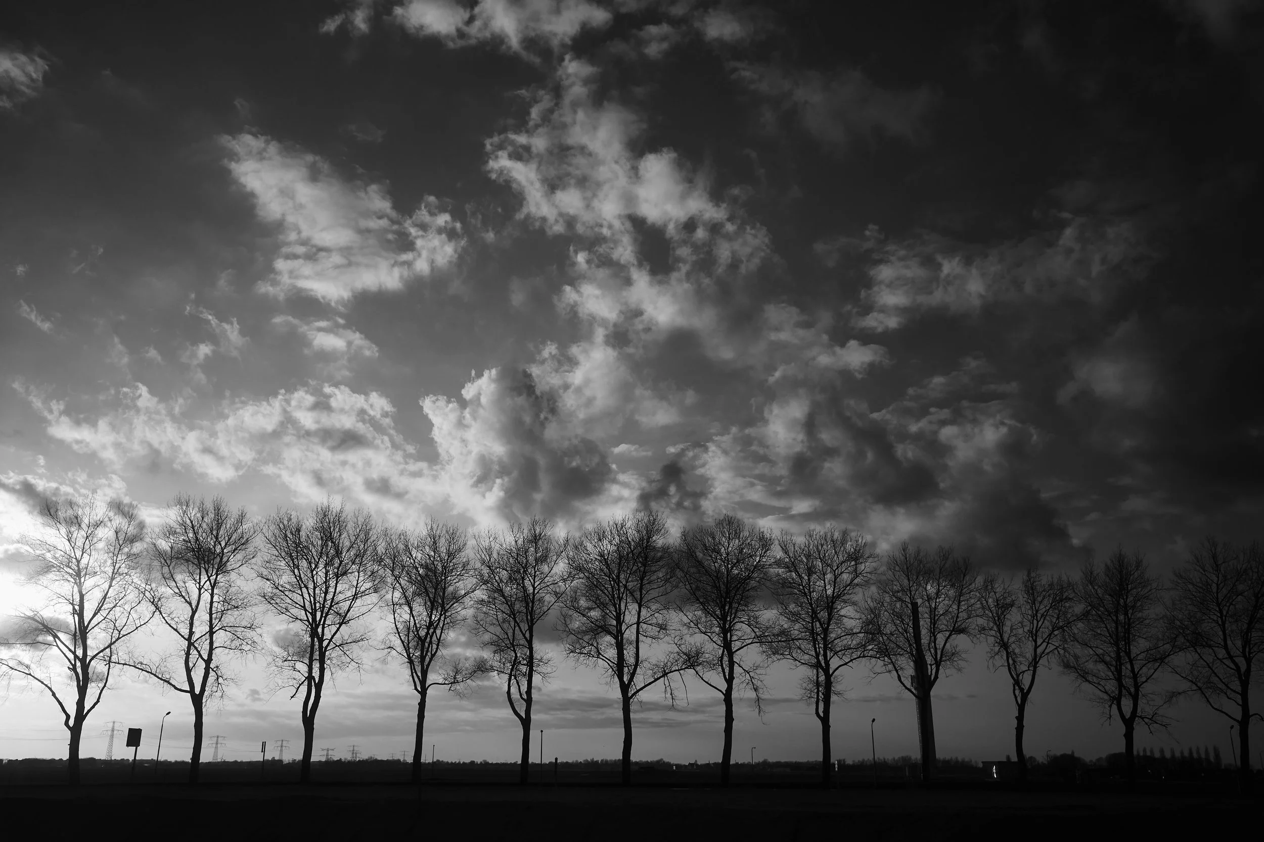YvdM-2015-0967.jpg