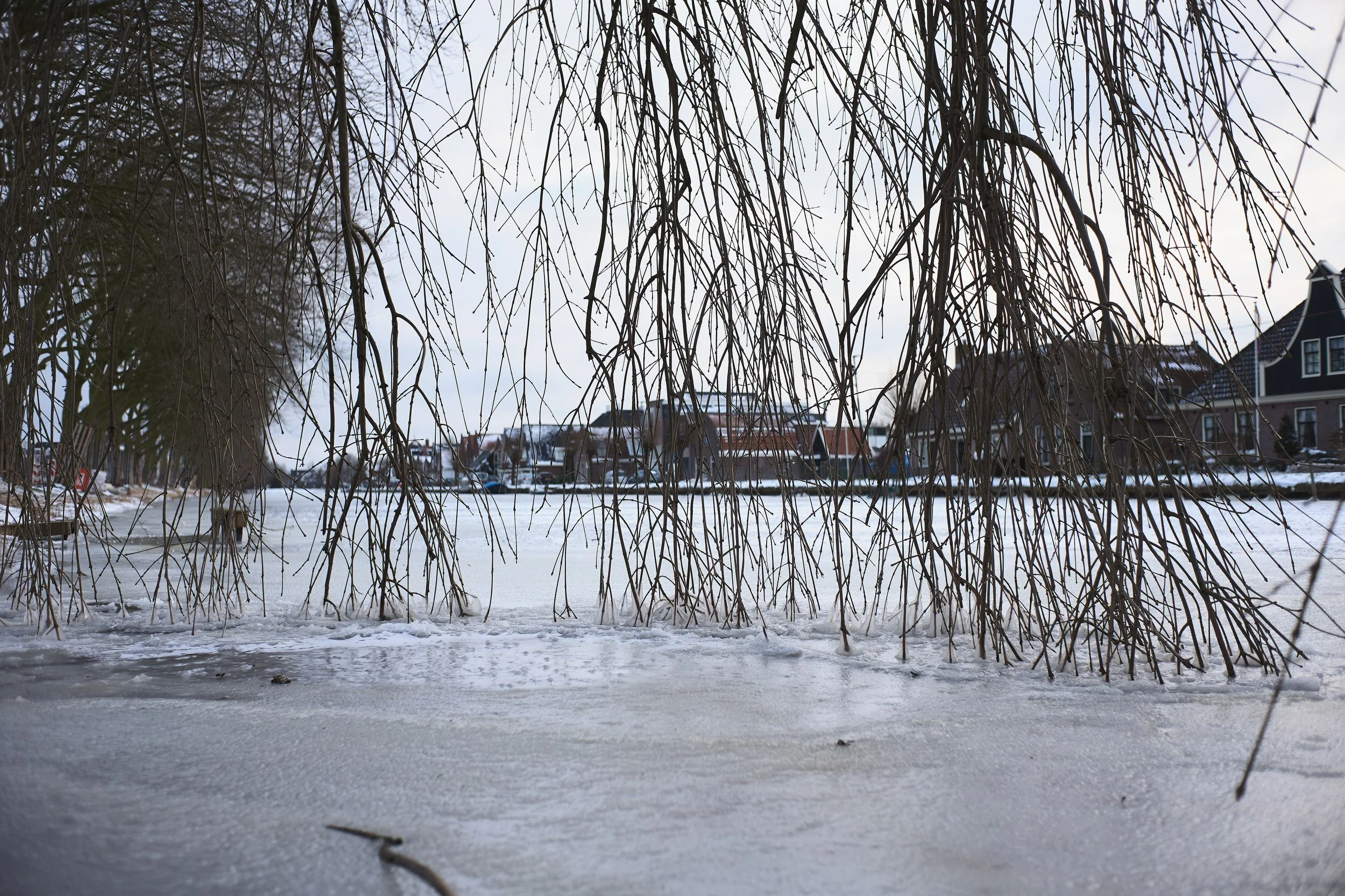YvdM-2103-0513.jpg