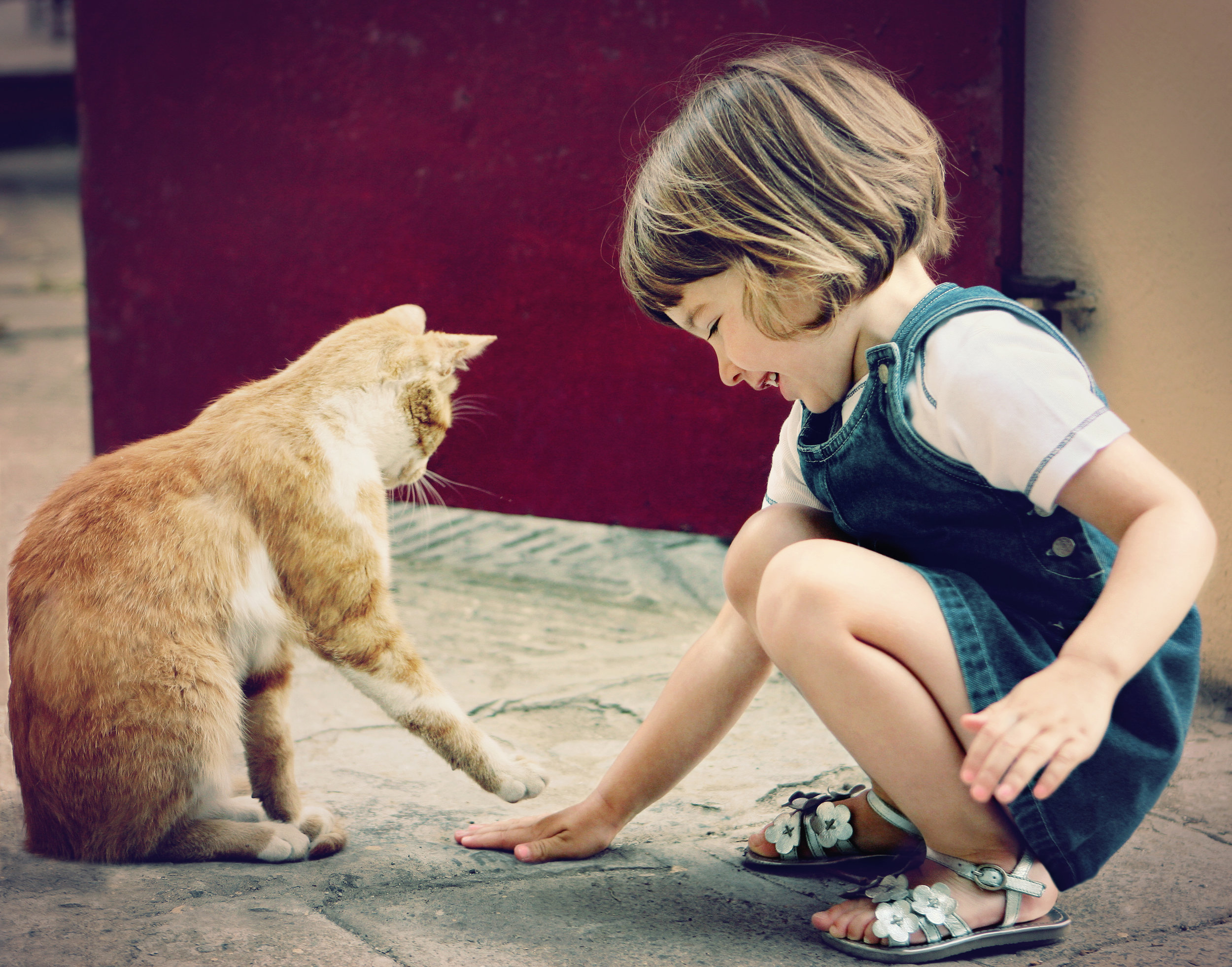 Детки играют с кисками. Для детей. Животные. Люди и животные. Кот для детей. Домашние животные для детей.