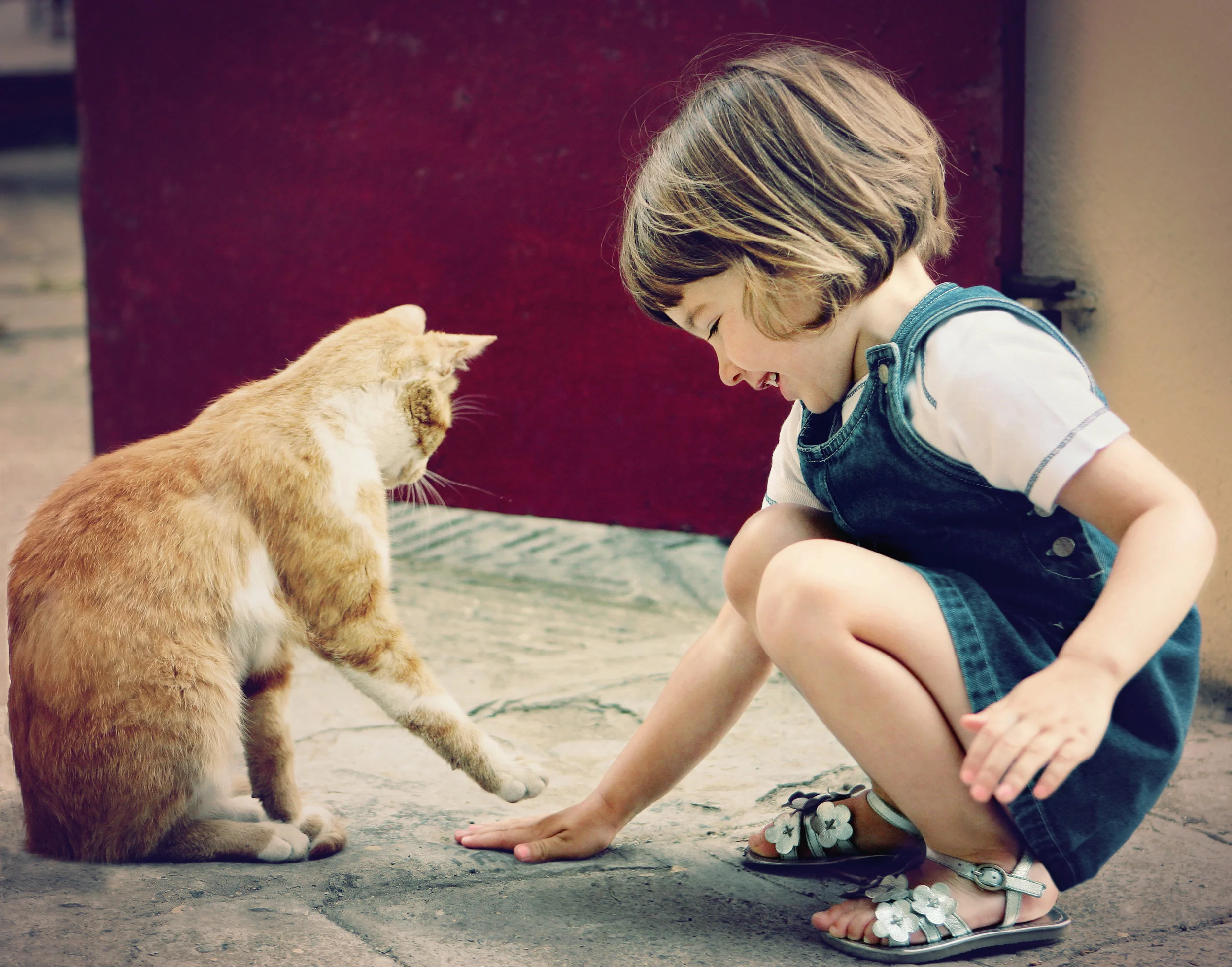 cat pet child death loss.jpg