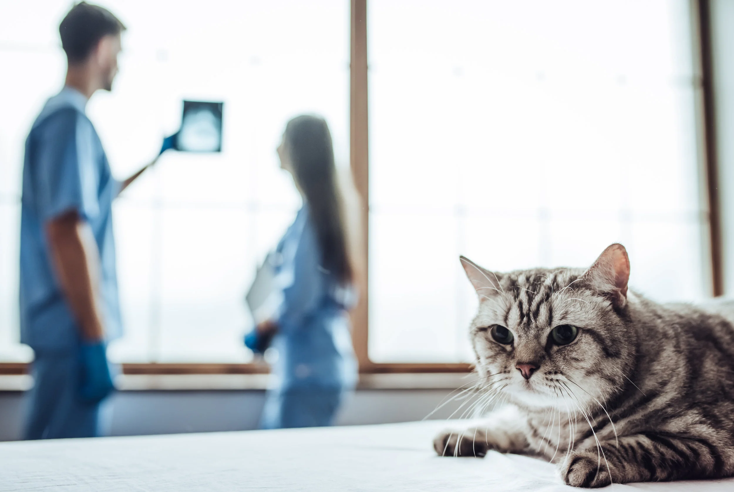 iStock-879798798.jpg