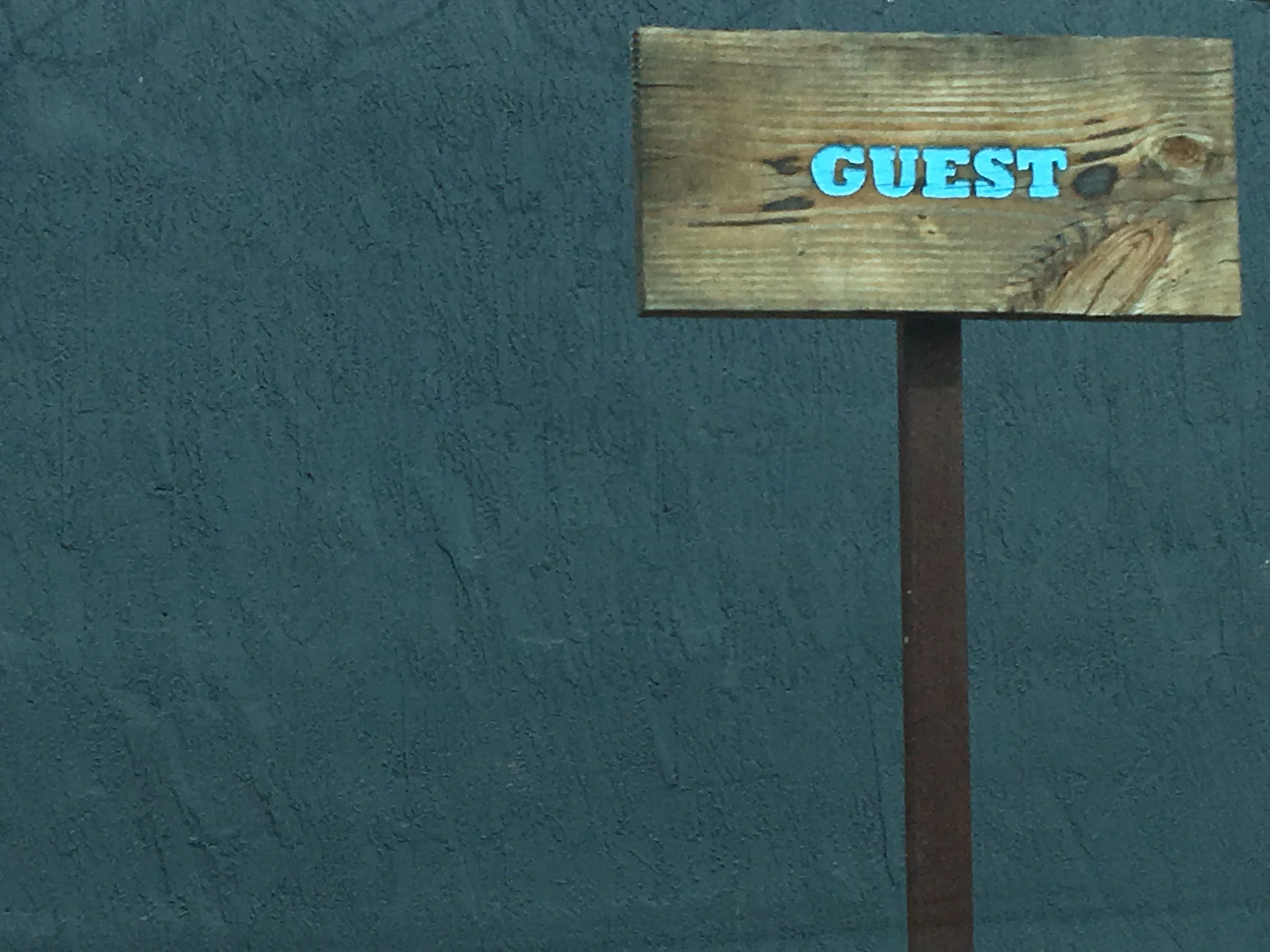 Guest