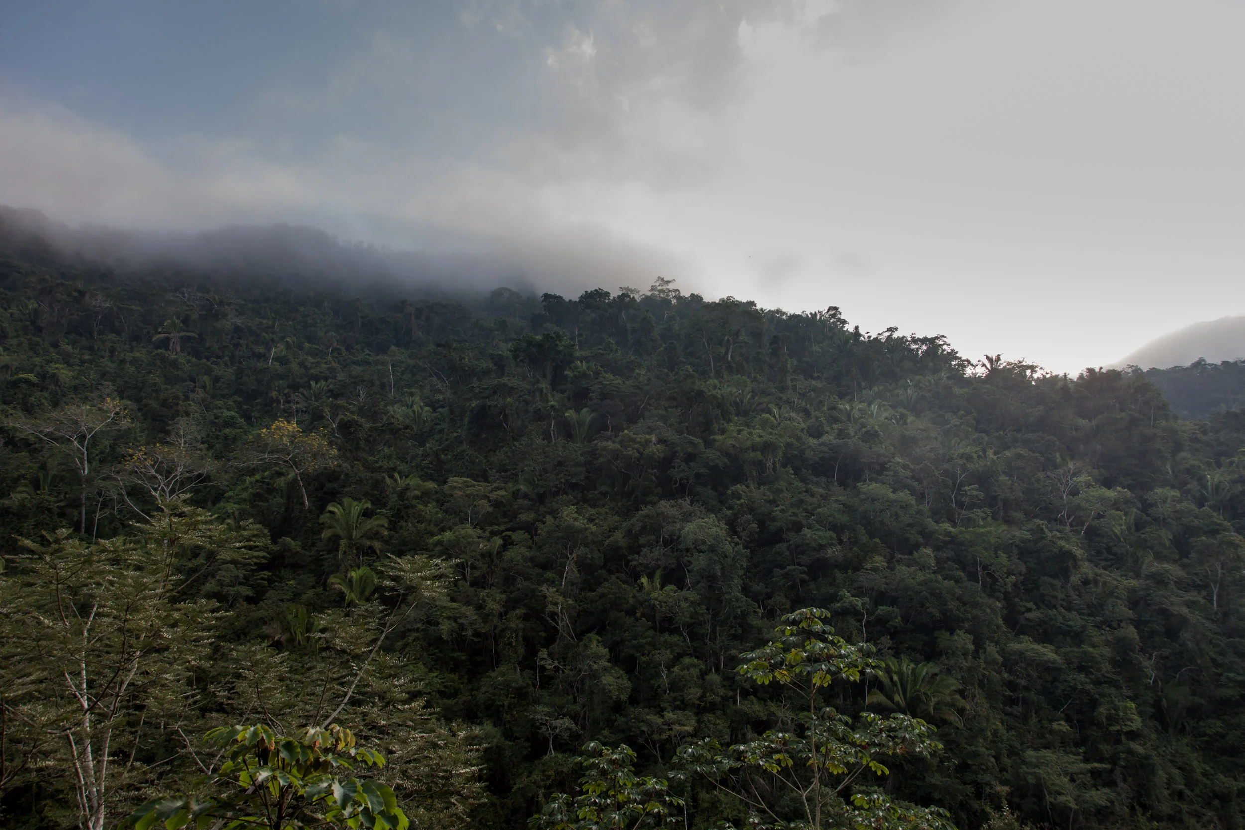 belize-2.jpg