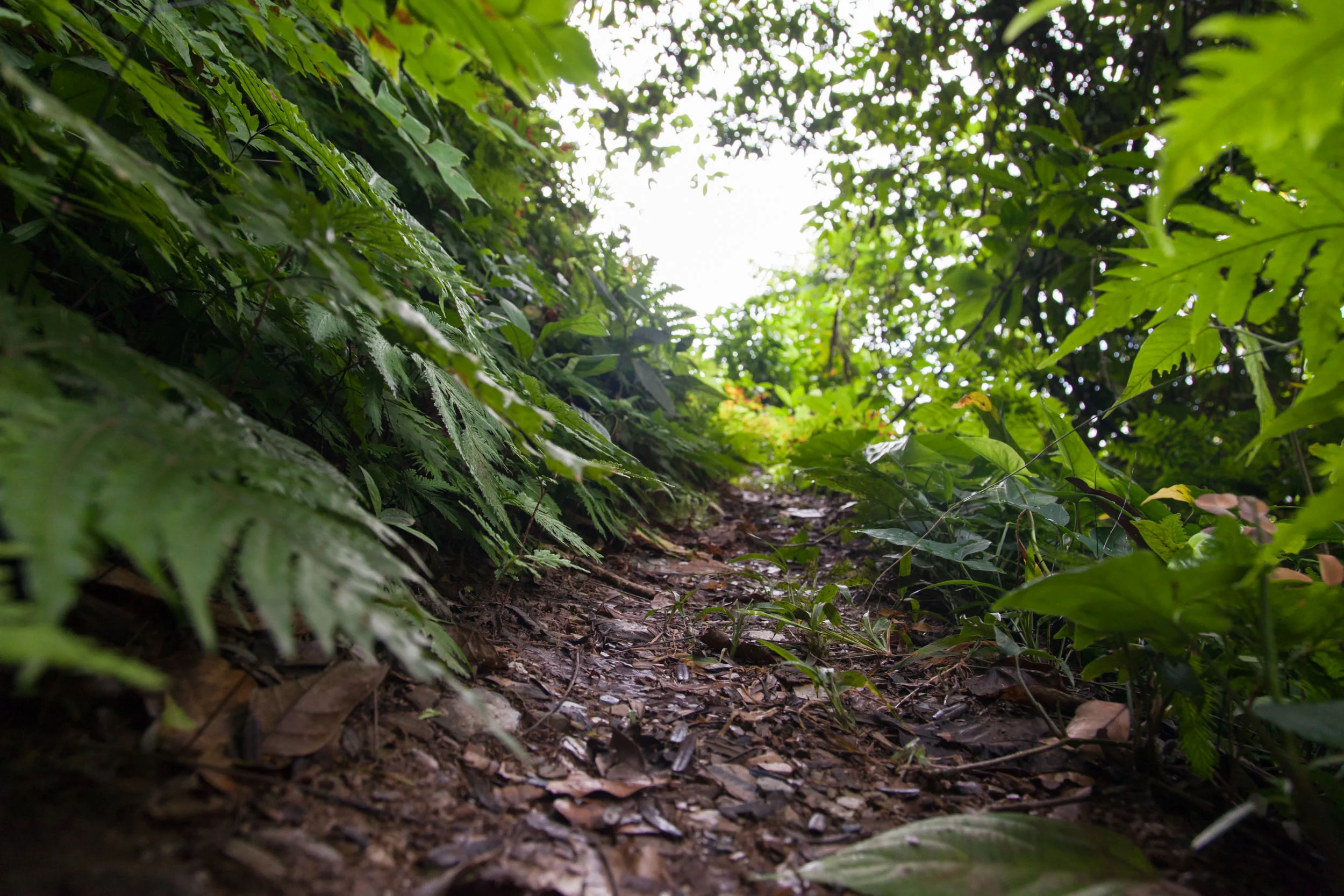 belize-13.jpg