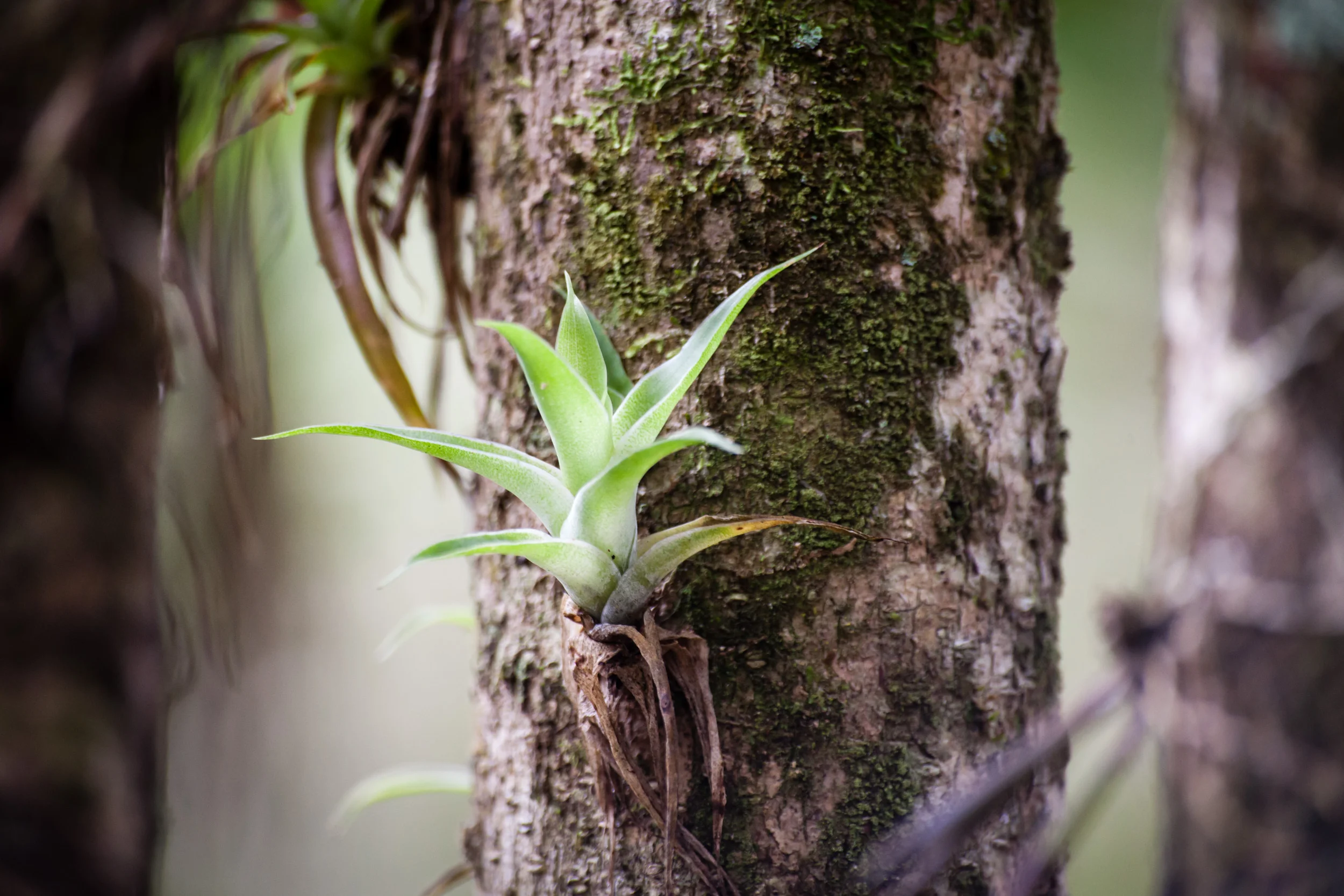 belize-15.jpg