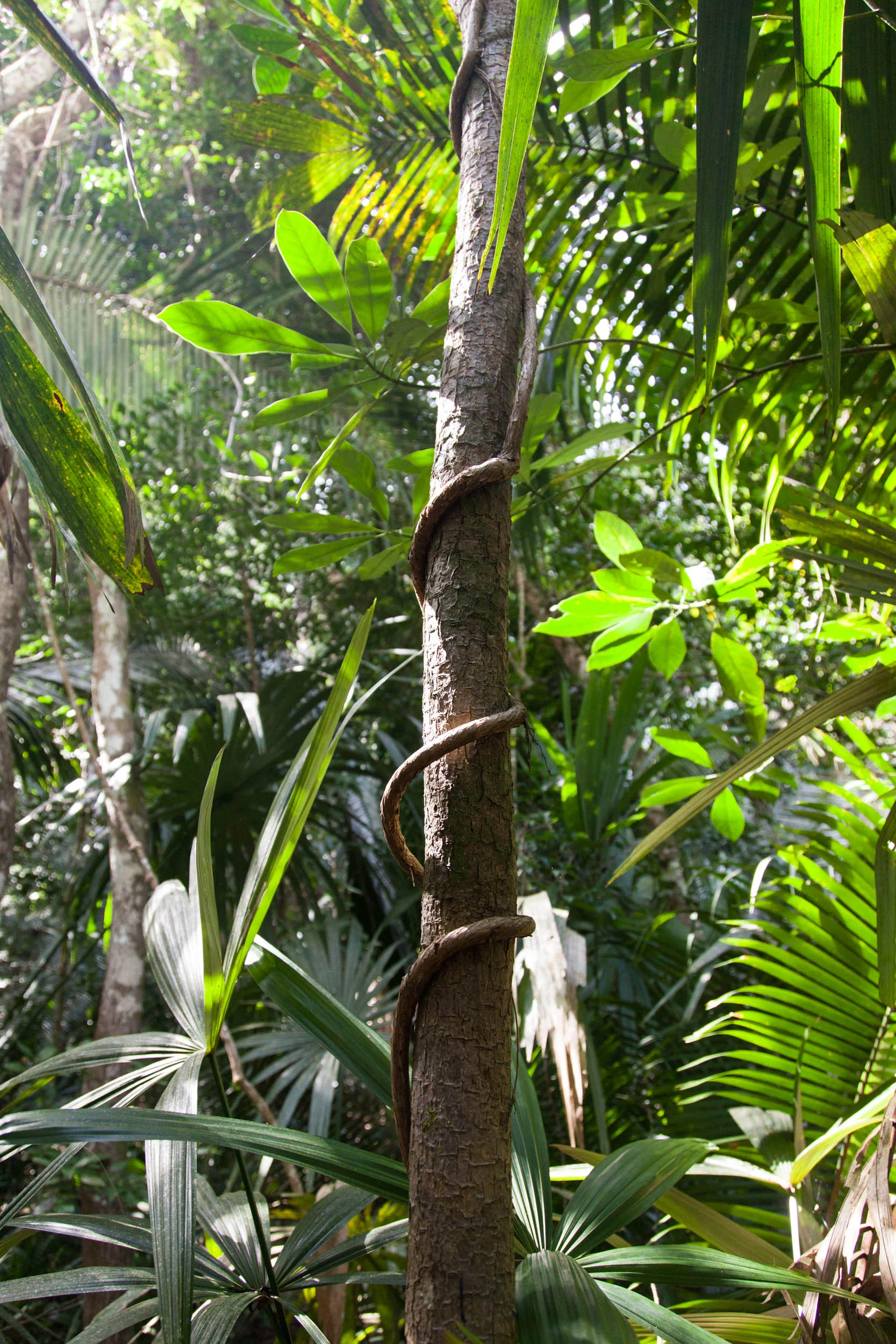 belize-25.jpg