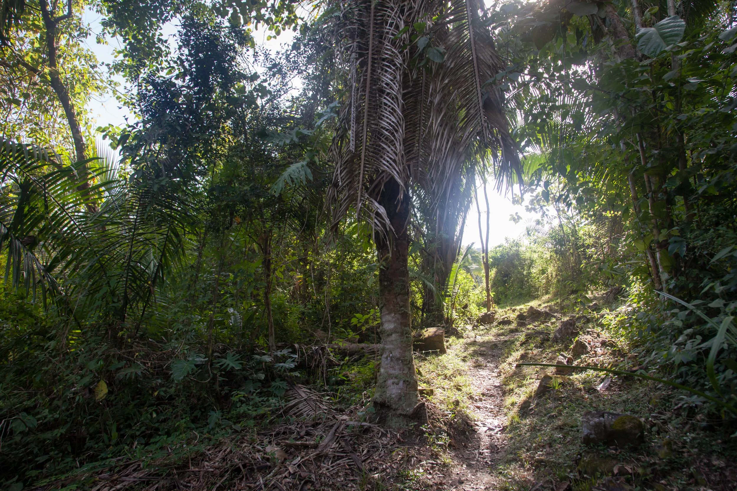 belize-59.jpg