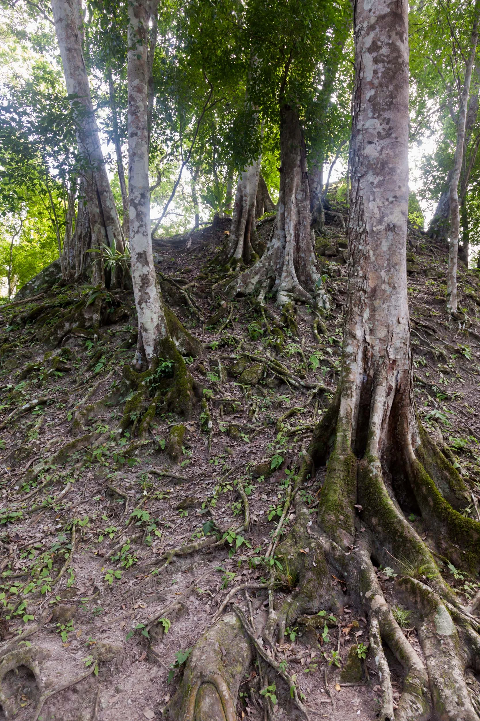 guatemala-32.jpg