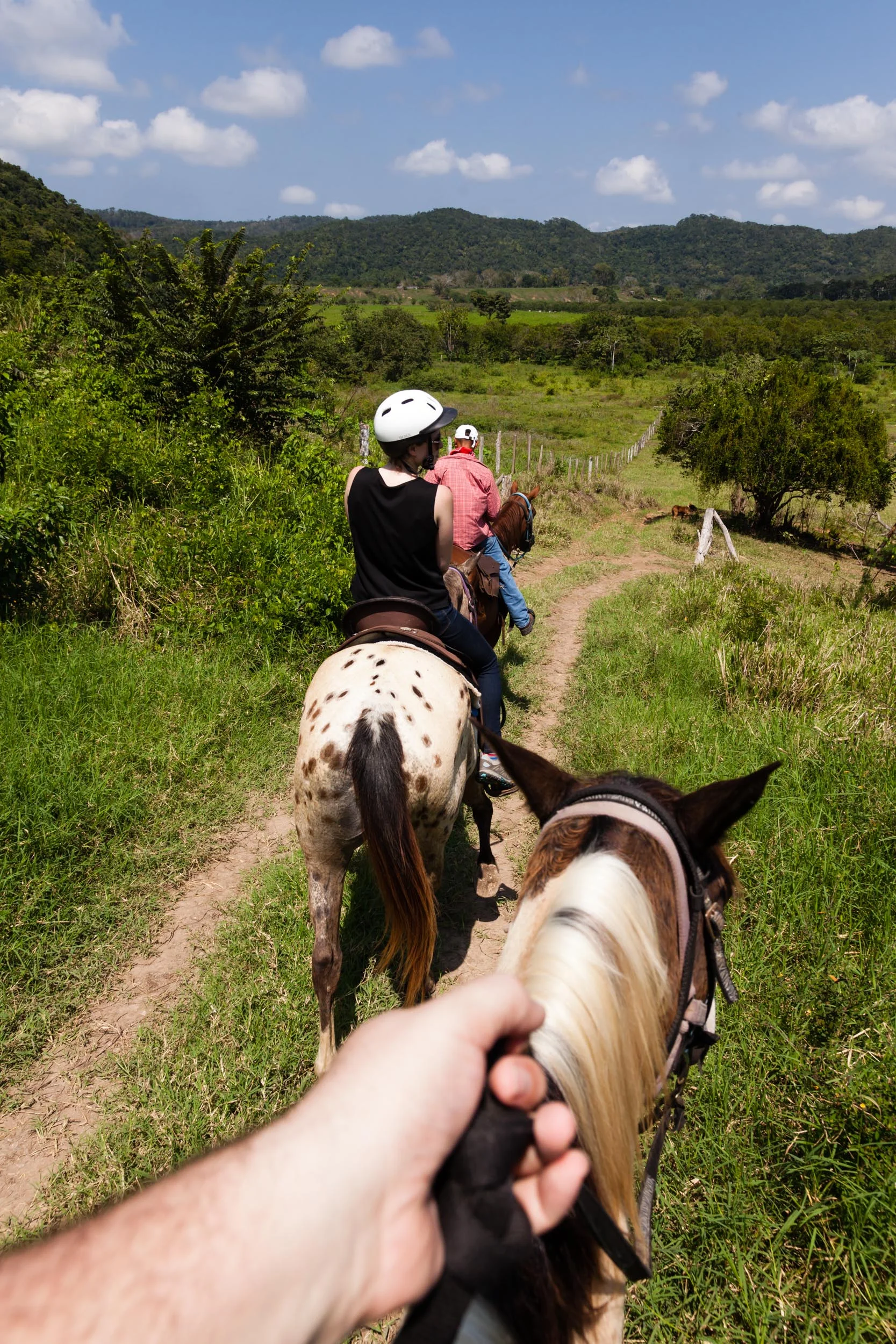 sanignacio-37.jpg