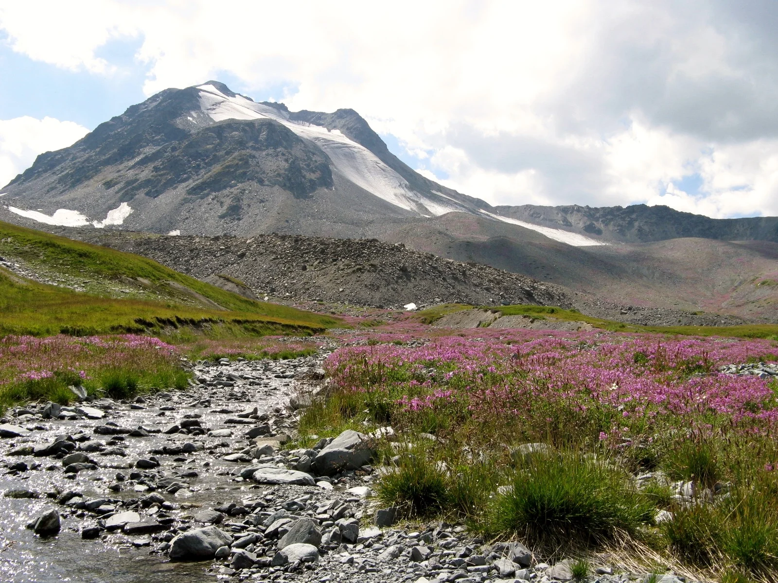 Nemytskogo Glacier