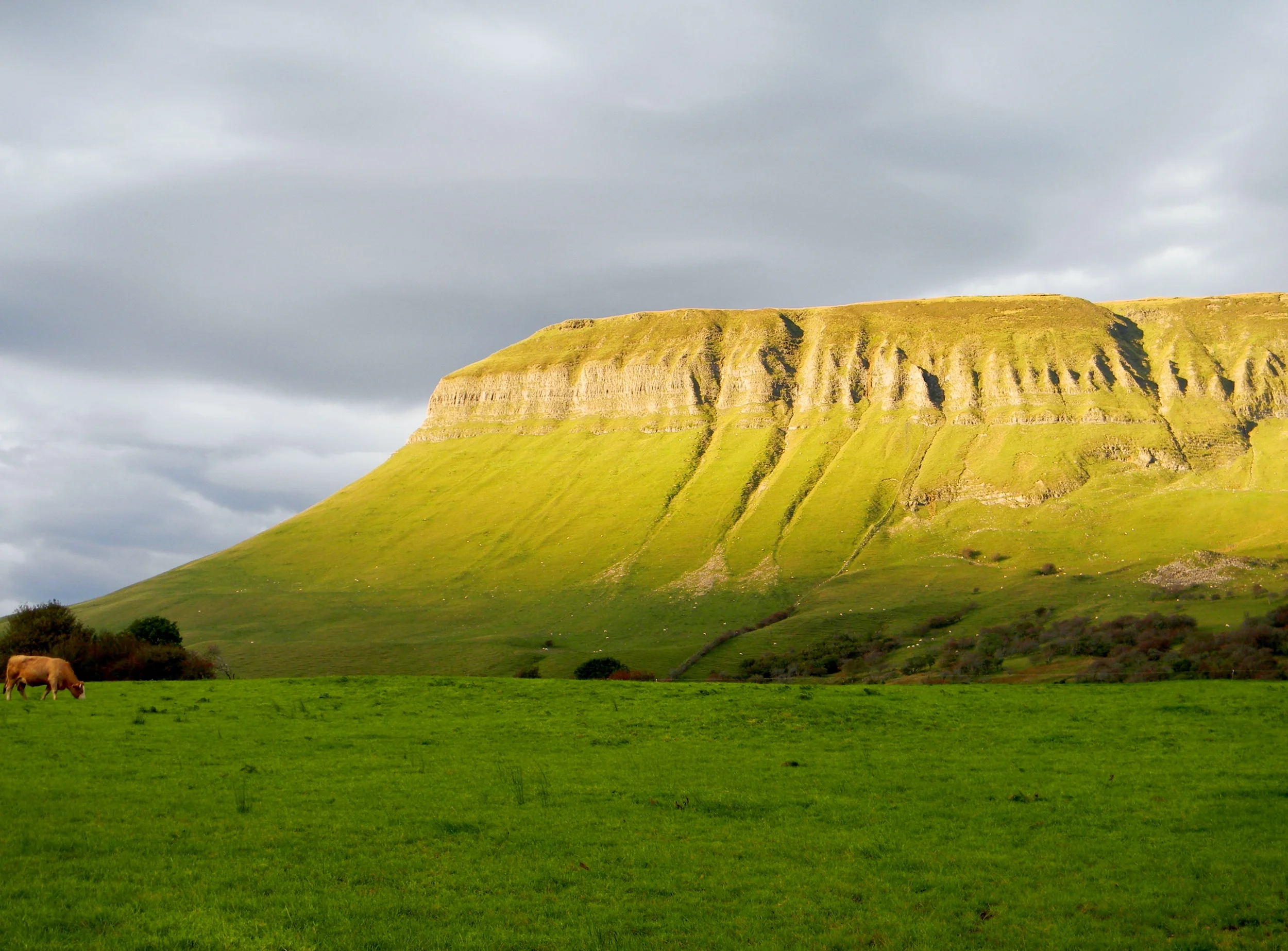 Benbulbin