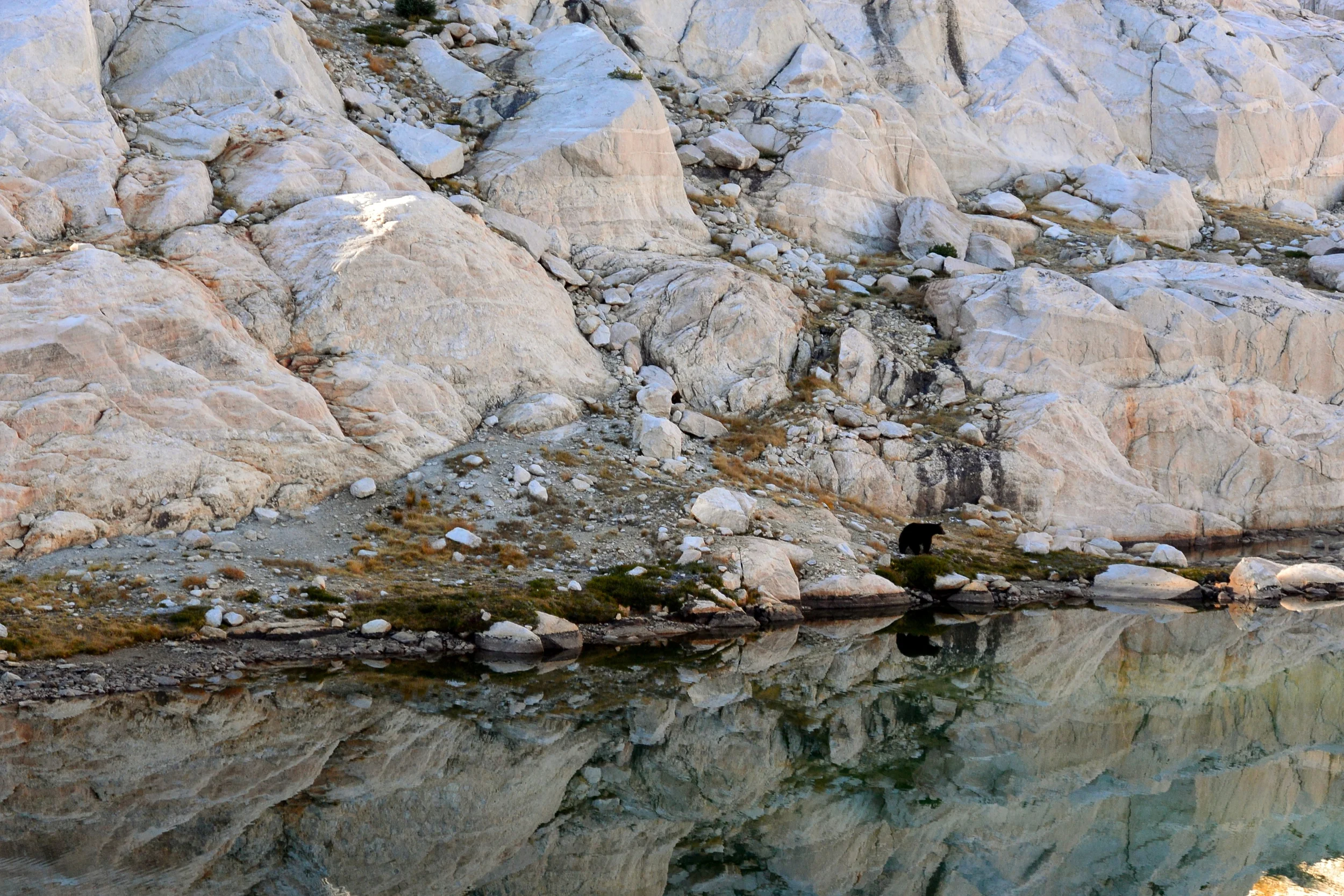 Не разбрасывайте макароны!