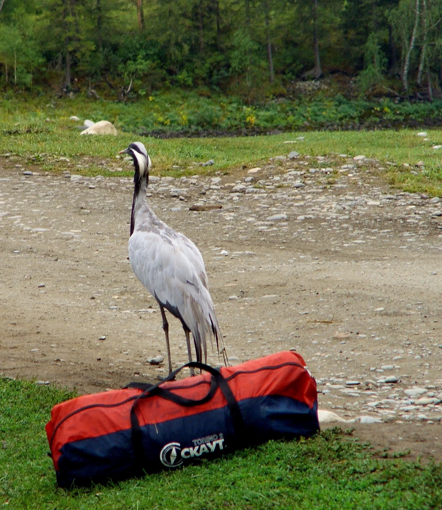 Have you ever fallen in love while travelling?