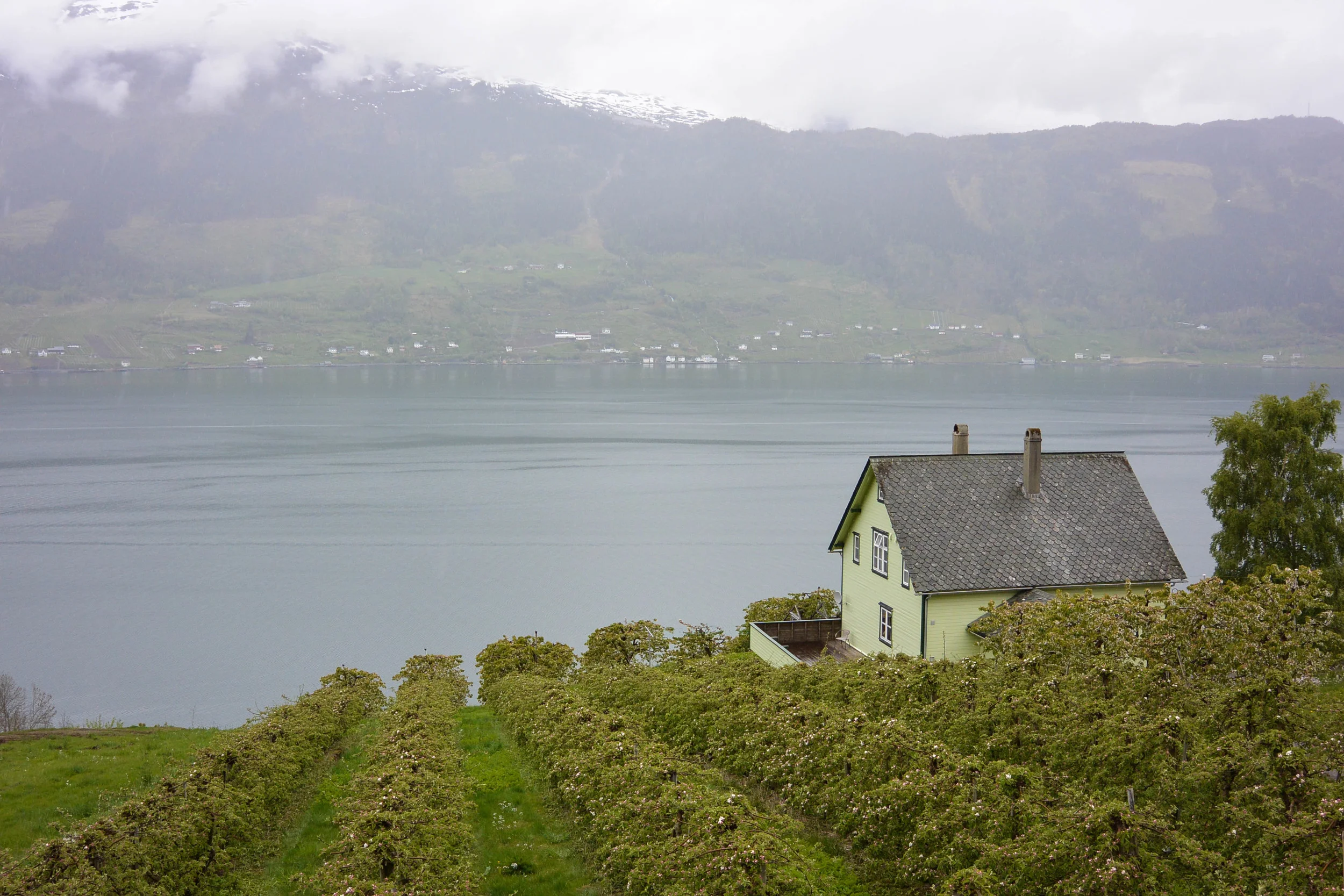 Green Norway
