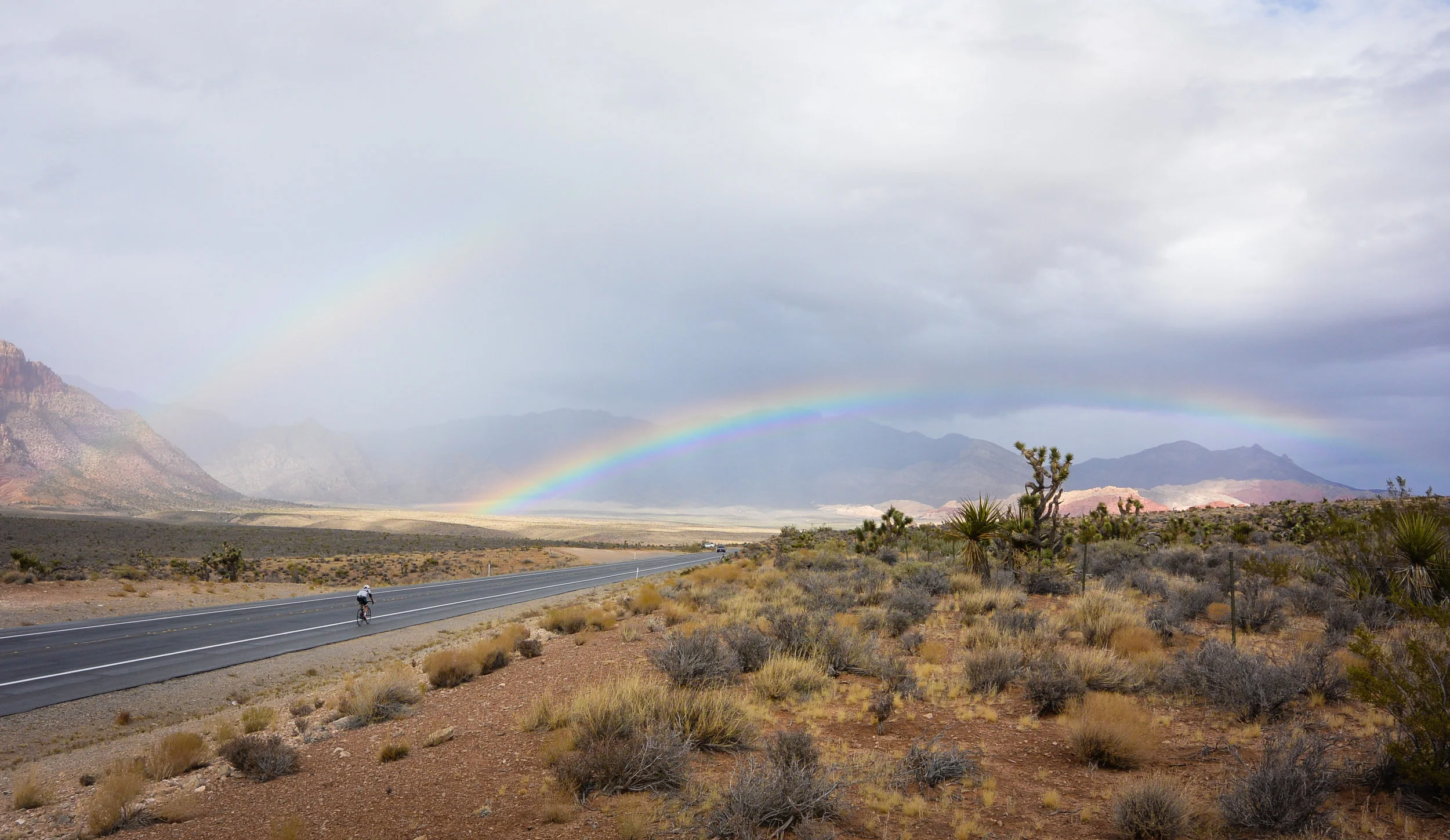Rainbow in the Desert