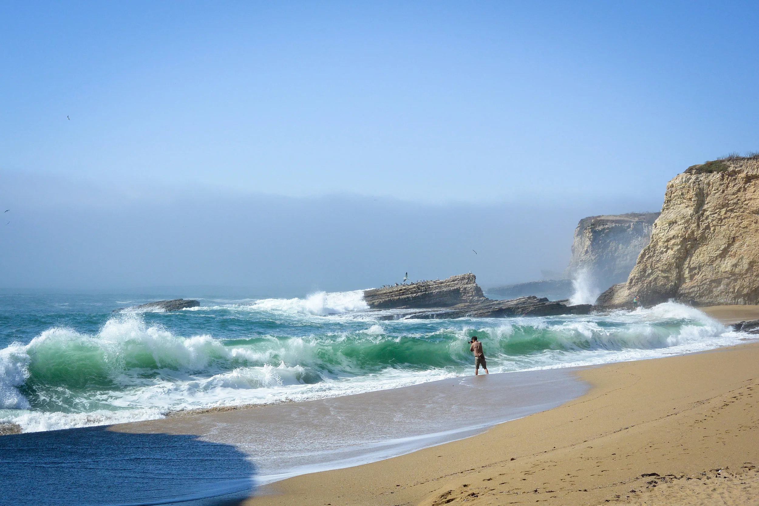 The Pacific