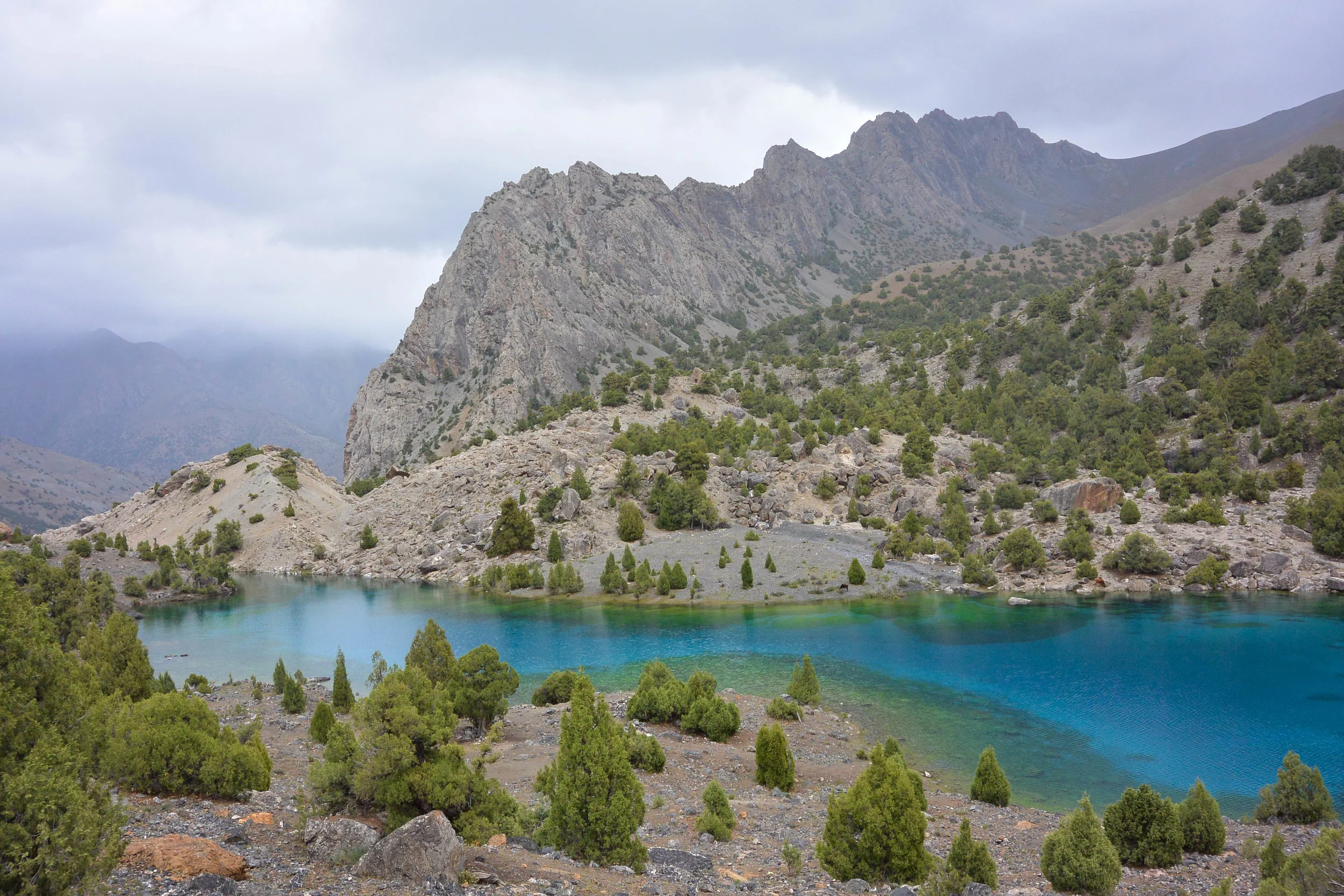 DSC_6948-1.jpg