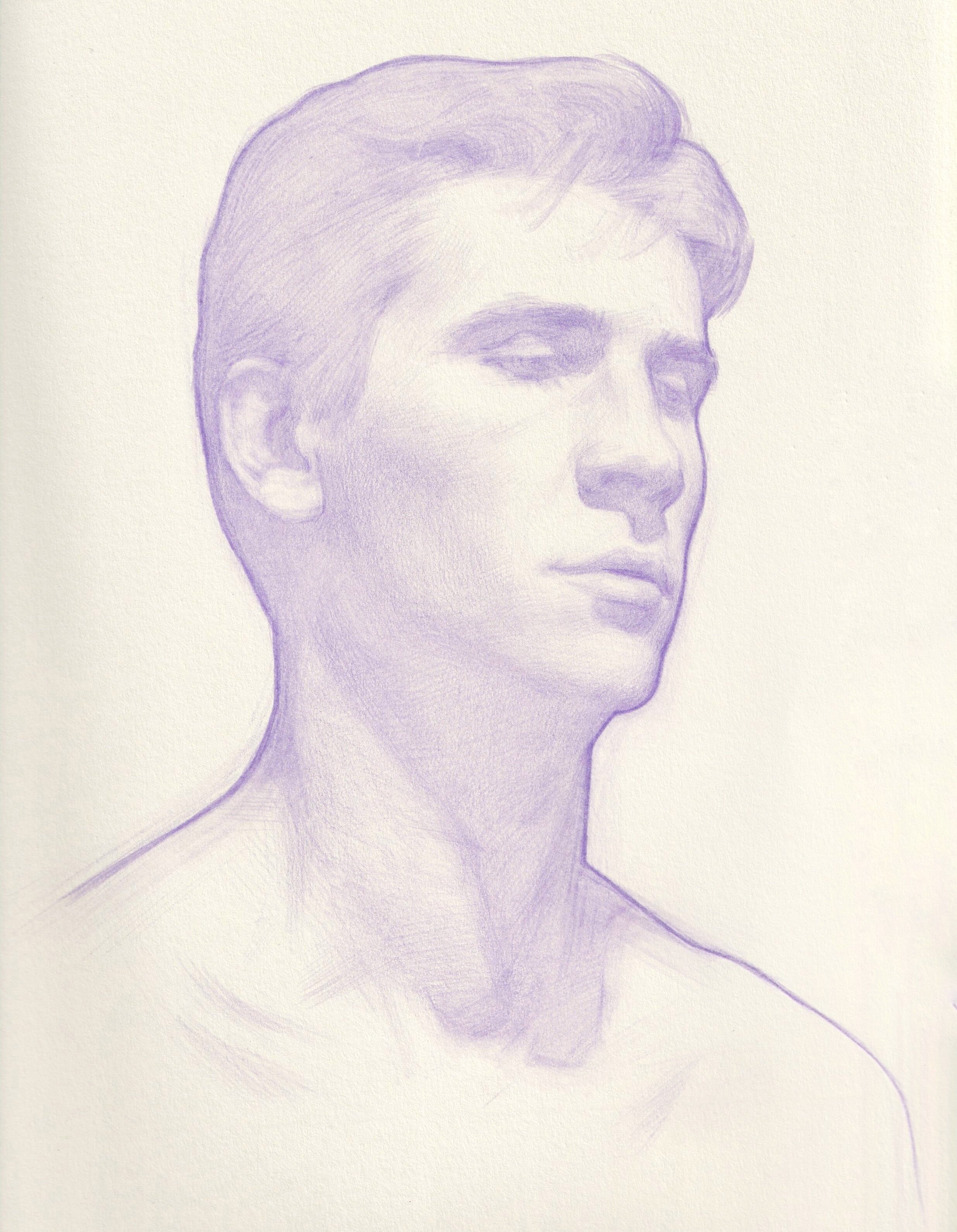   Clémant en lavande,  colored pencil on paper 