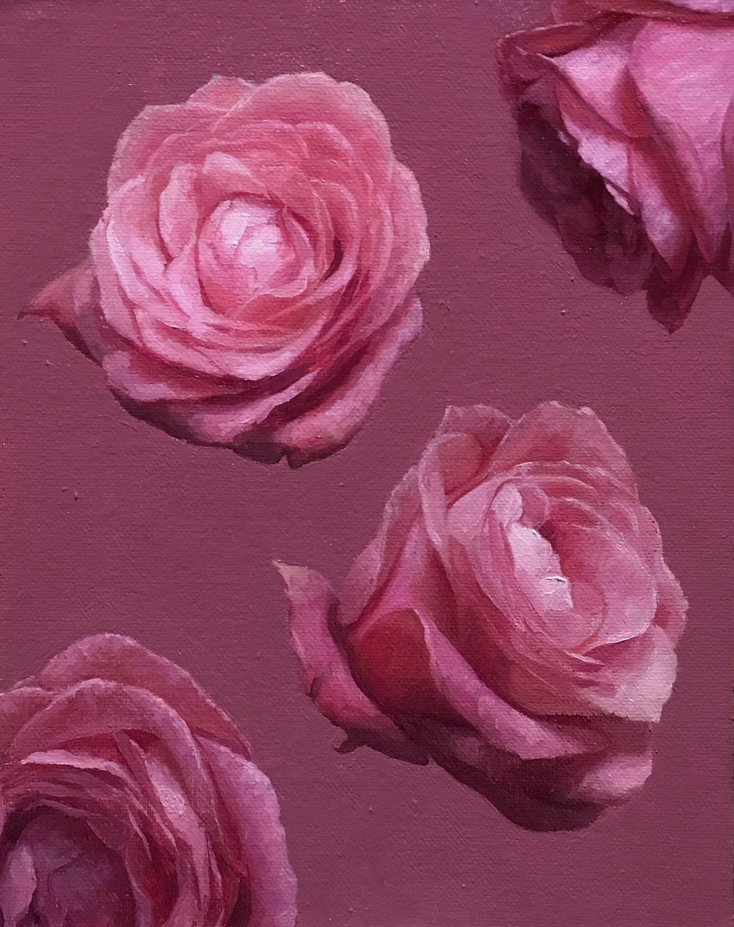   Four views of a pink rose,  oil on canvas on board 
