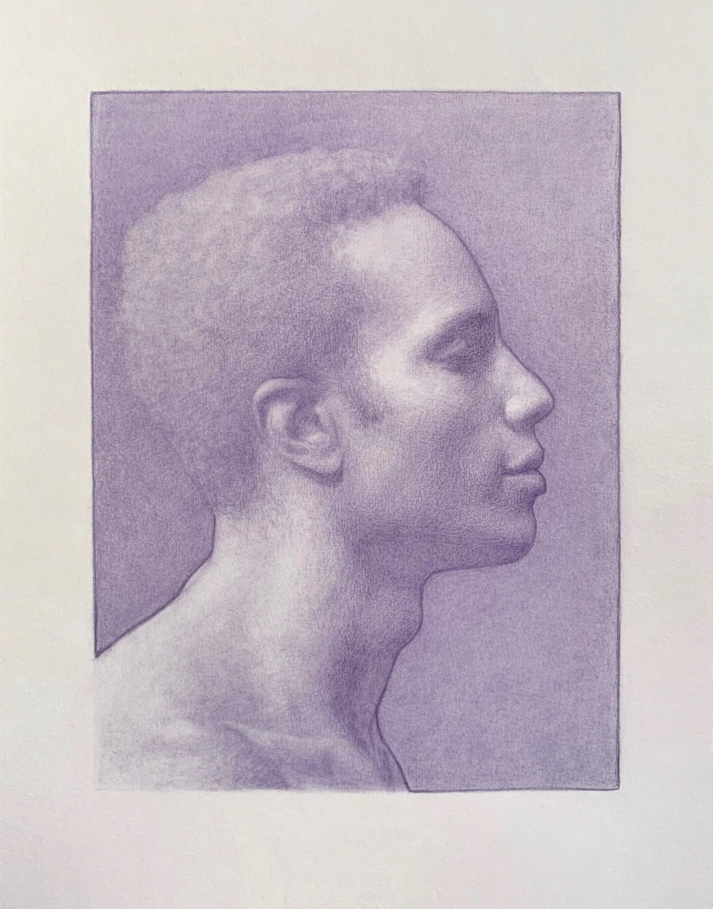   Freddy en violet,  colored pencil on paper 